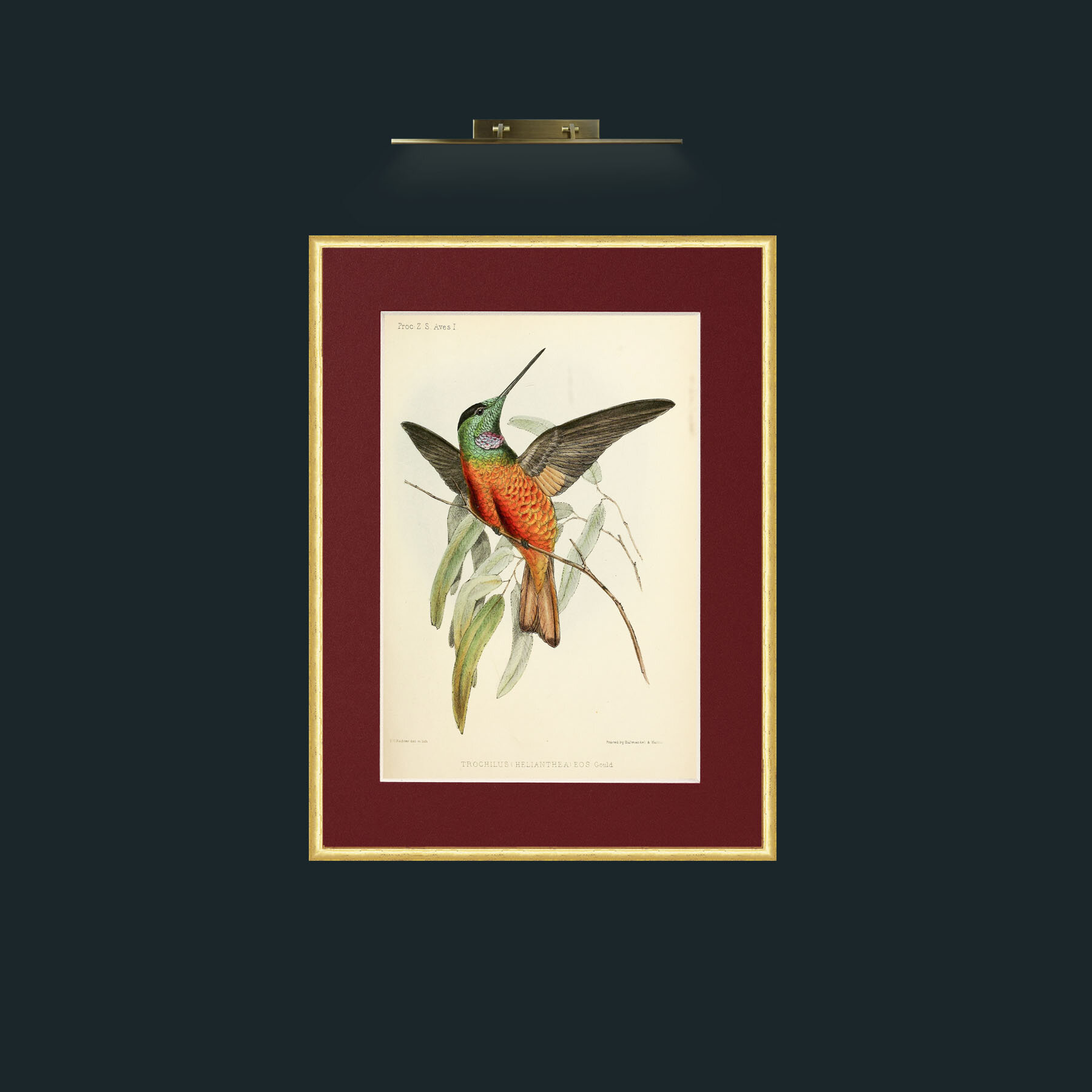 Art-Hummingbird.jpg-Frame-3RoundedGilt-Mount-4Red.jpg