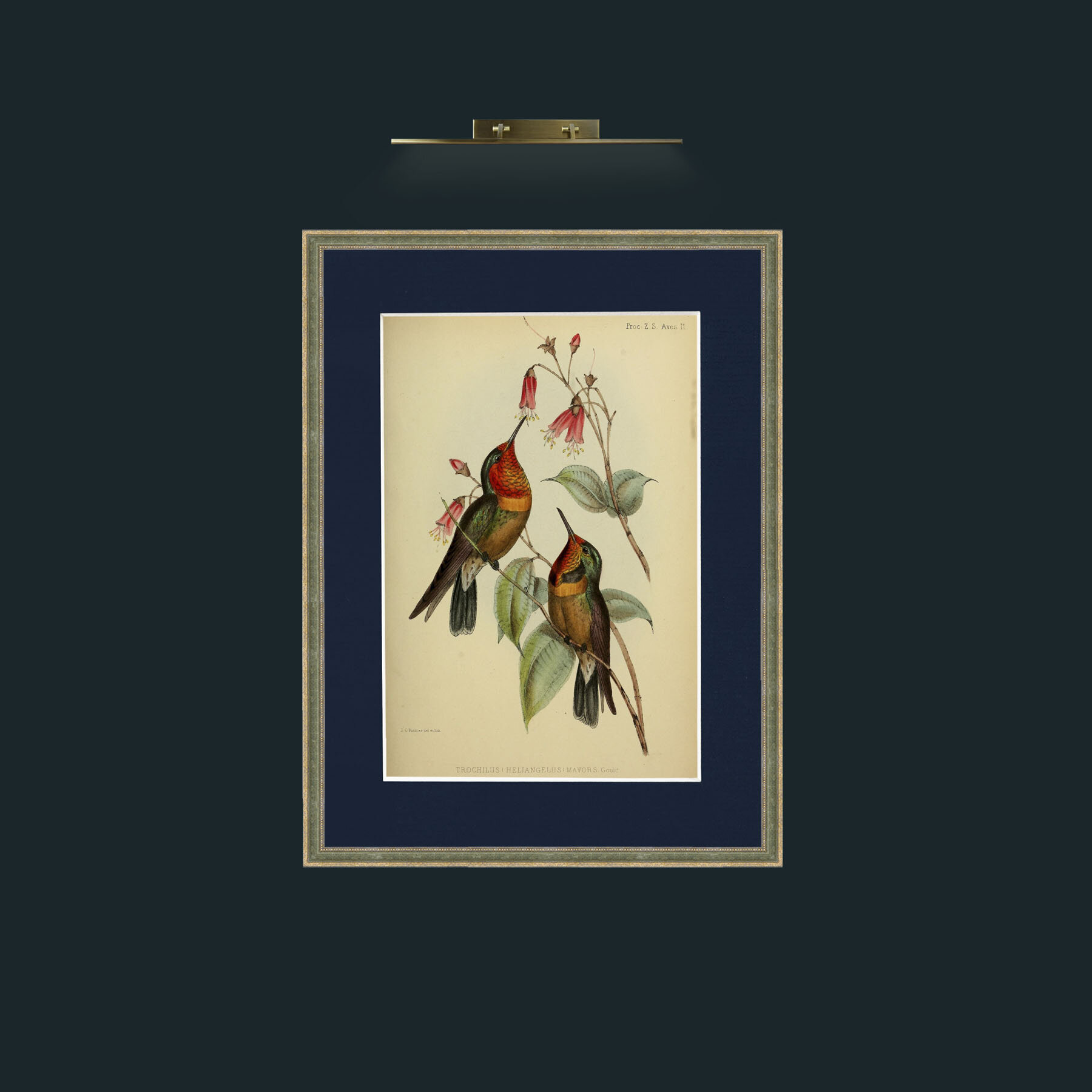 Art-Hummingbirds.jpg-Frame-2GreenGiltTextured-Mount-3Blue.jpg
