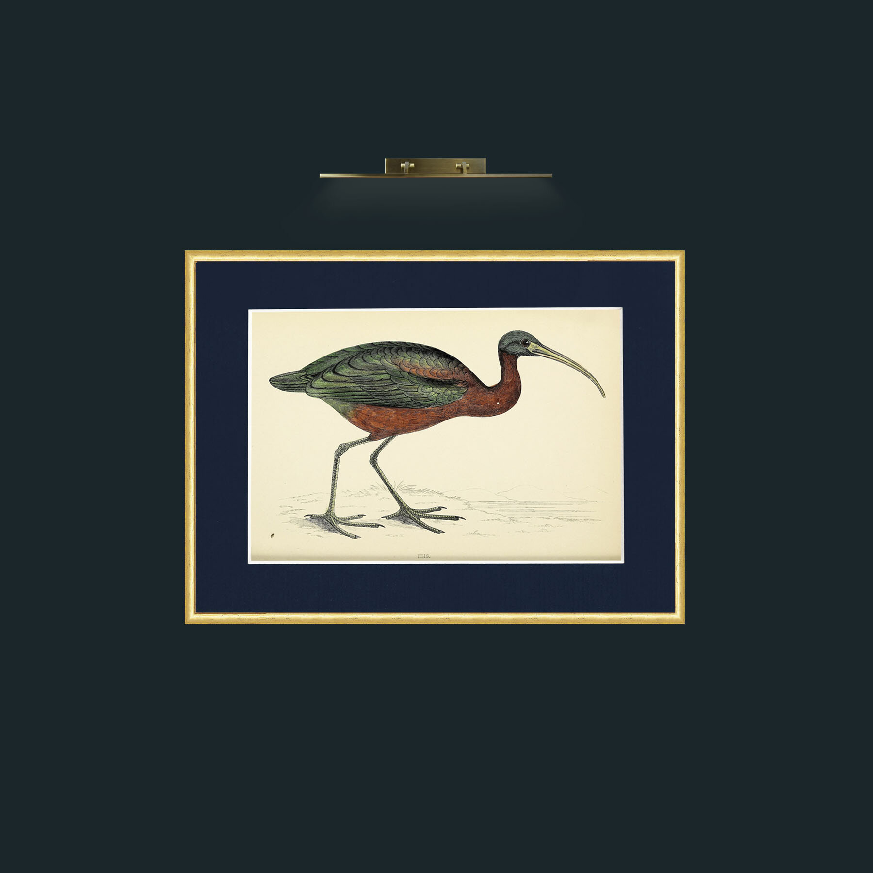 Art-Ibis-Frame-3RoundedGilt-Mount-3Blue.jpg