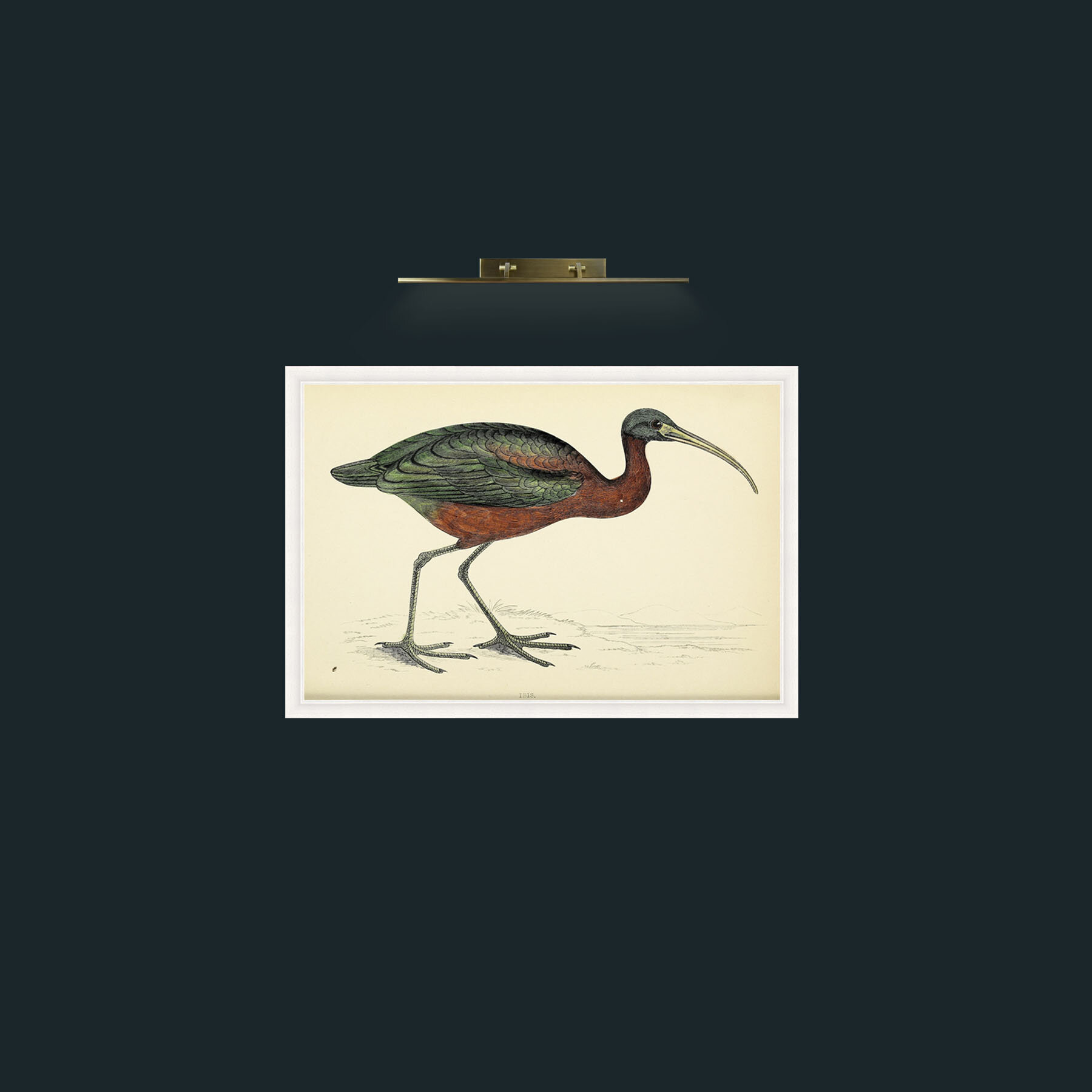 Art-Ibis-Frame-5White.jpg