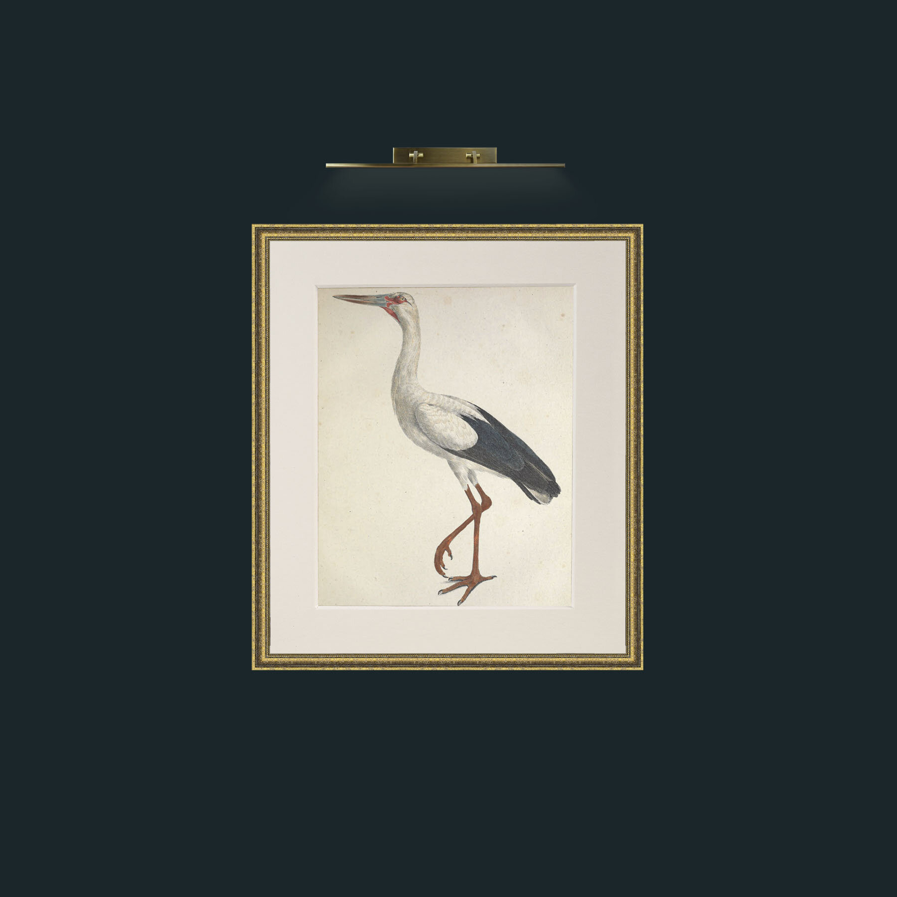 Art-Jaburu CiconiaFrame-1GiltTextured-Mount-1Antique-Art-Jaburu Ciconia.jpg