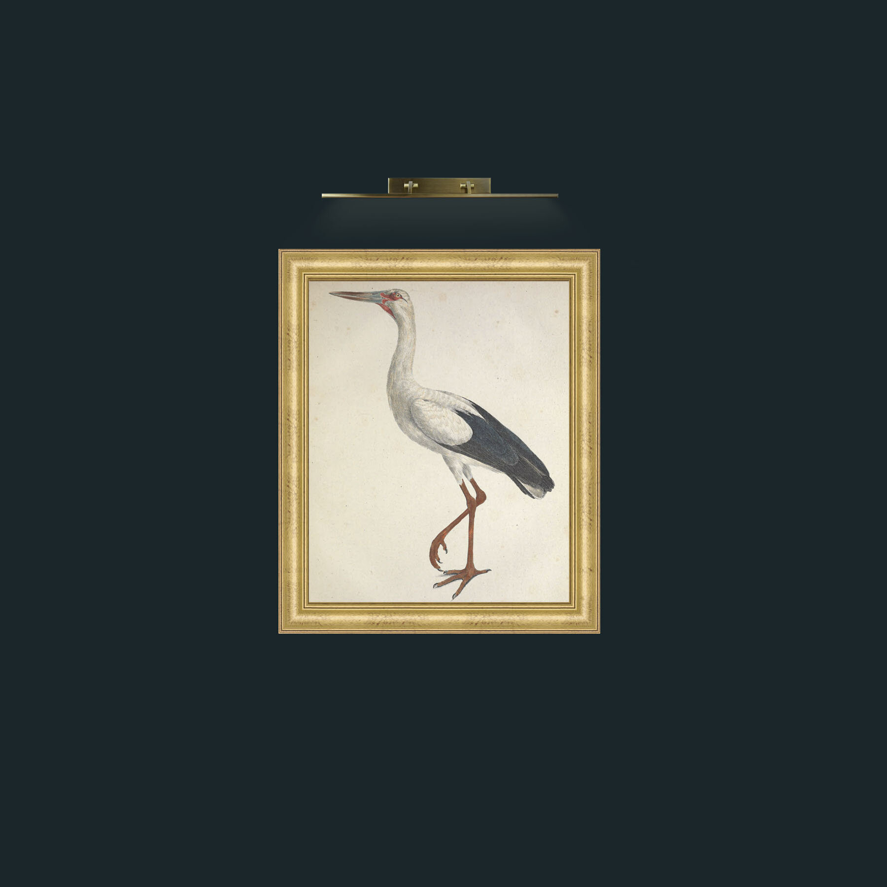 Art-Jaburu CiconiaFrame-8WideGilt-Art-Jaburu Ciconia.jpg