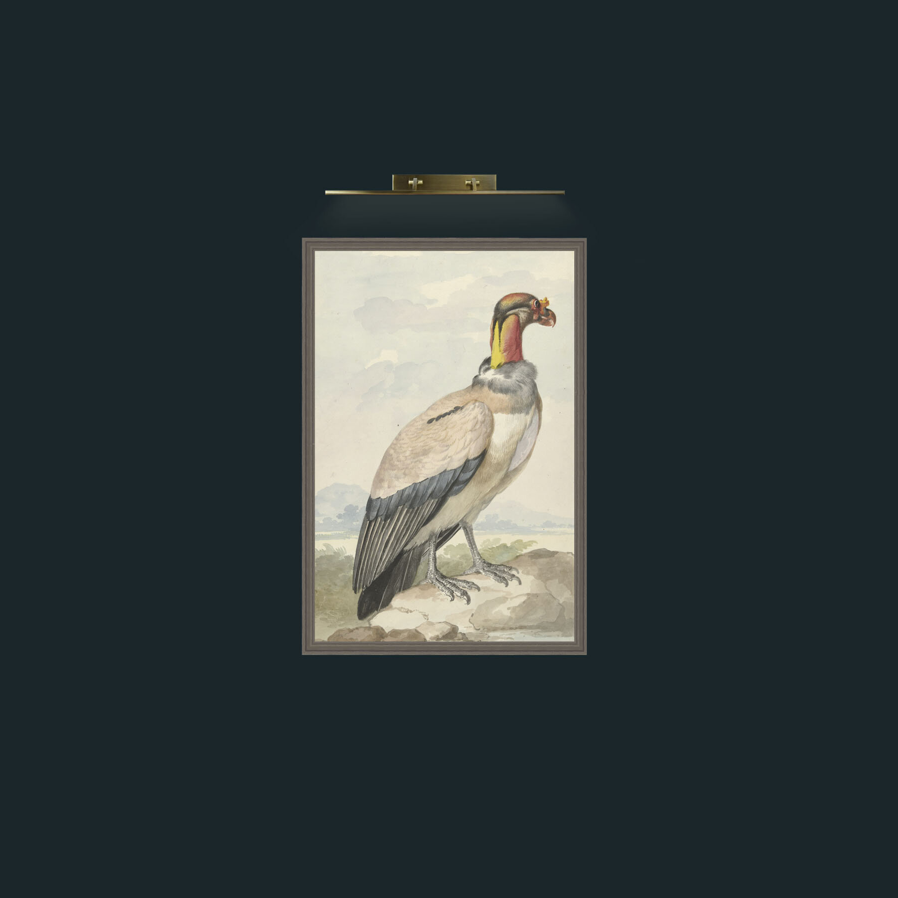 Art-King Vulture-Frame-6Grey.jpg