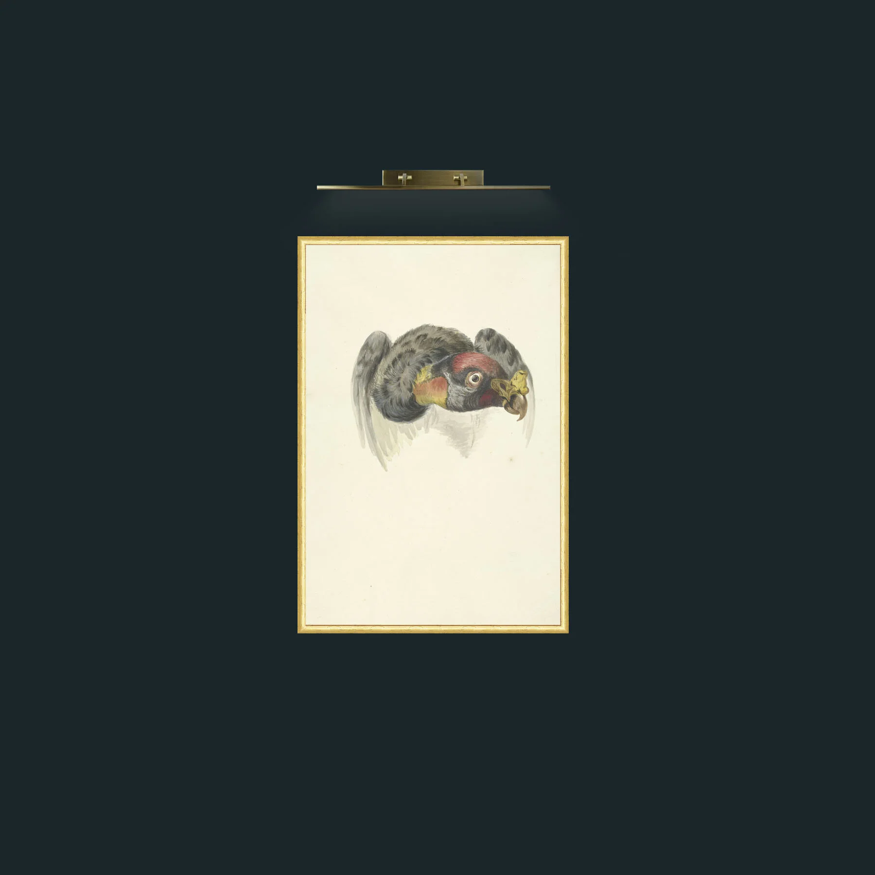 Art-King Vulture Head_1-Frame-3RoundedGilt.jpg