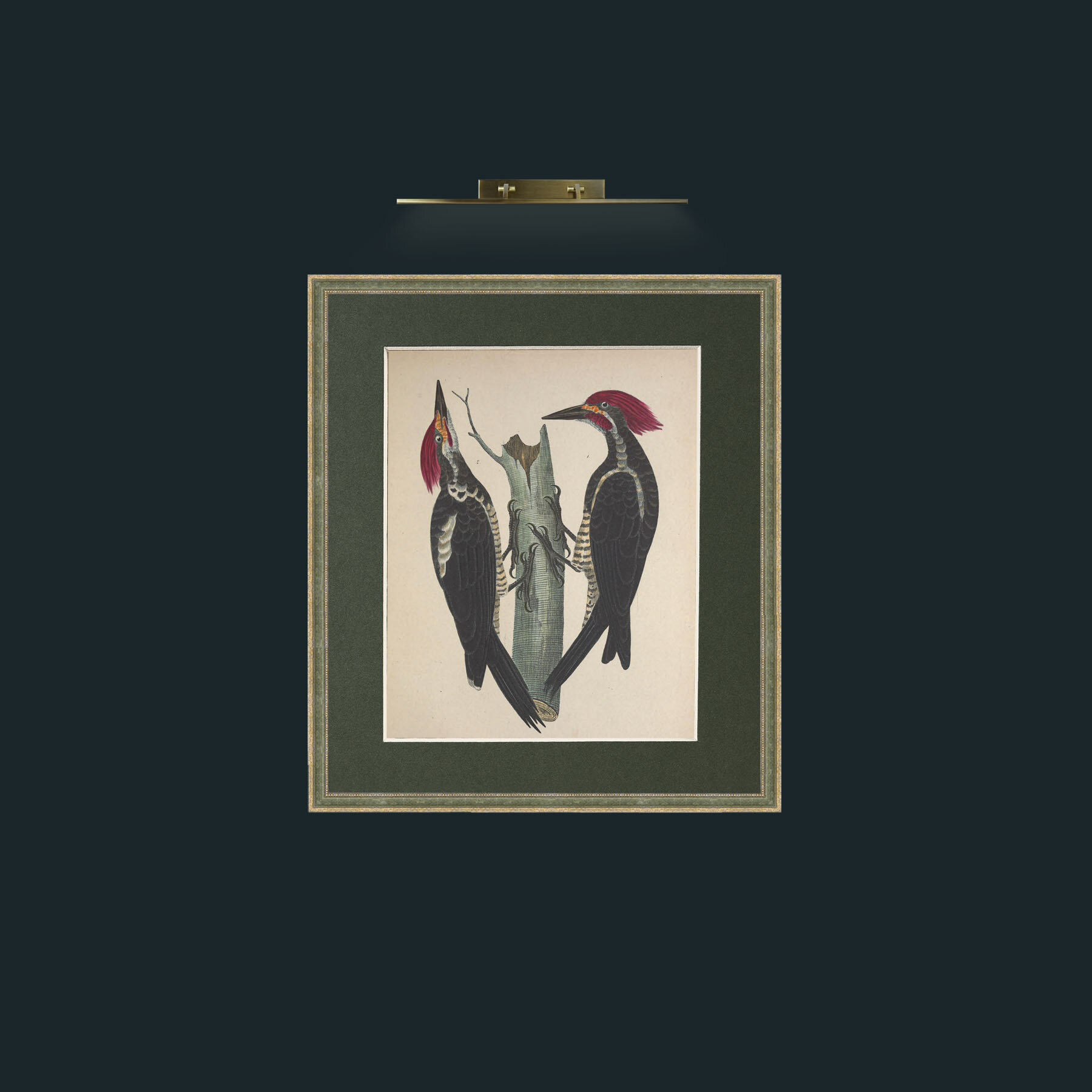 Art-Lineatus PicusFrame-2GreenGiltTextured-Mount-2Green-Art-Lineatus Picus.jpg