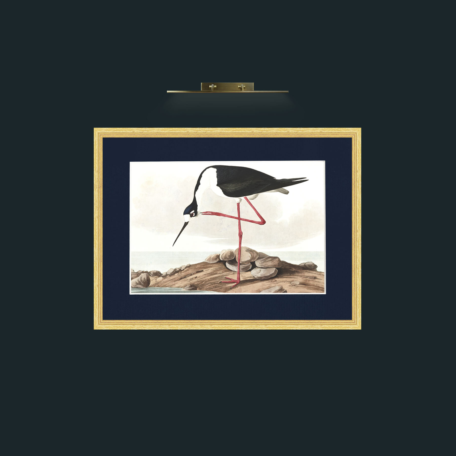 Long-legged Avocet-Frame-4BevelledGilt-Mount-3Blue-Art.jpg