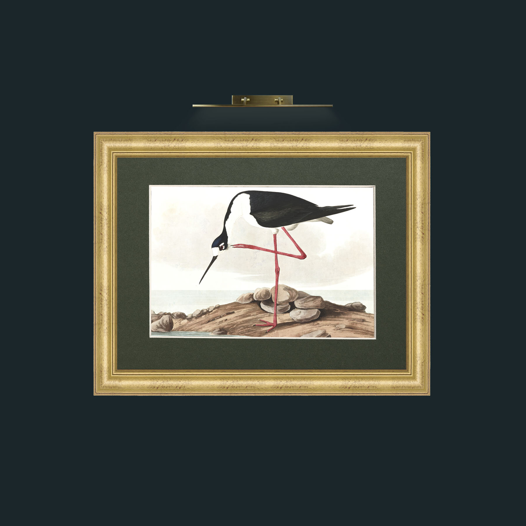 Long-legged Avocet-Frame-9WideGilt-Mount-2Green-Art.jpg
