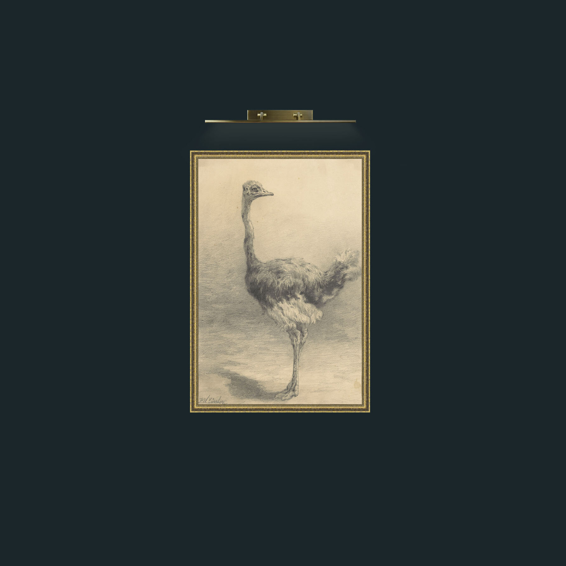 Art-Ostrich-Frame-1GiltTextured.jpg