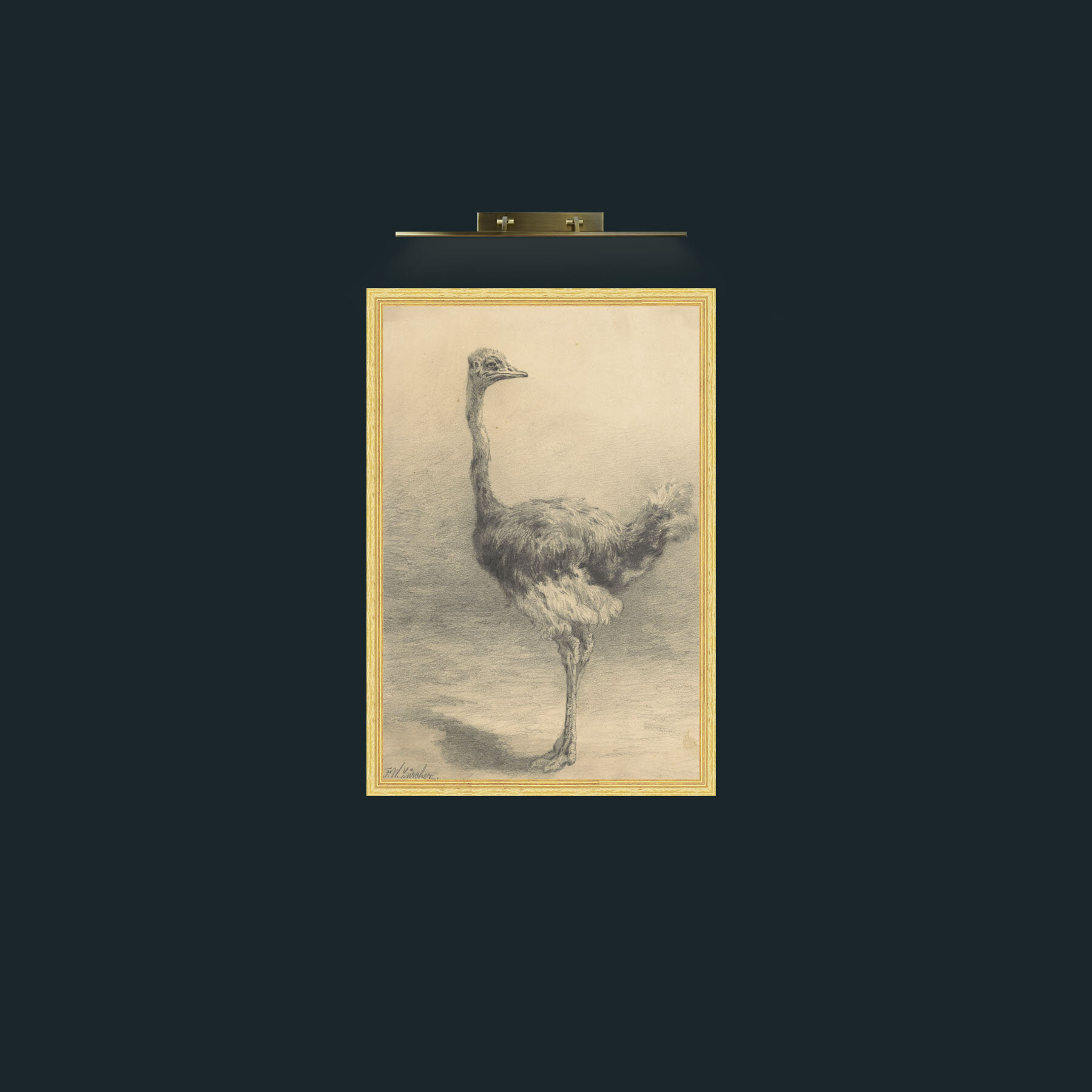 Art-Ostrich-Frame-4BevelledGilt.jpg
