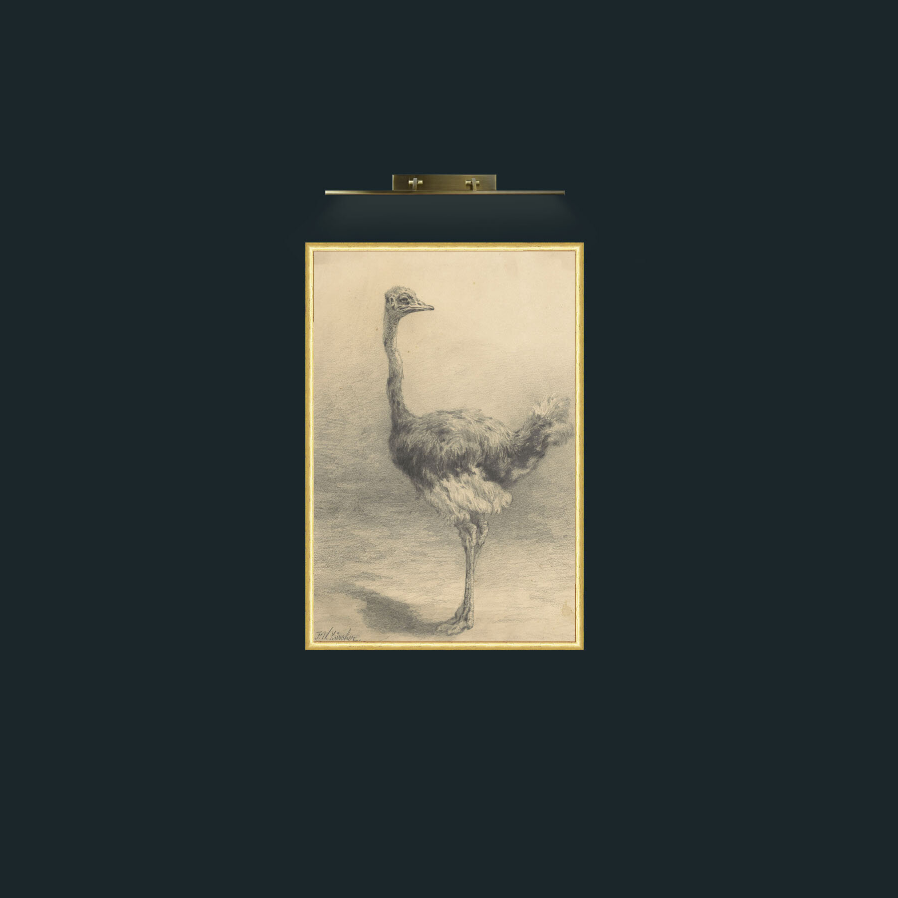 Art-Ostrich-Frame-3RoundedGilt.jpg