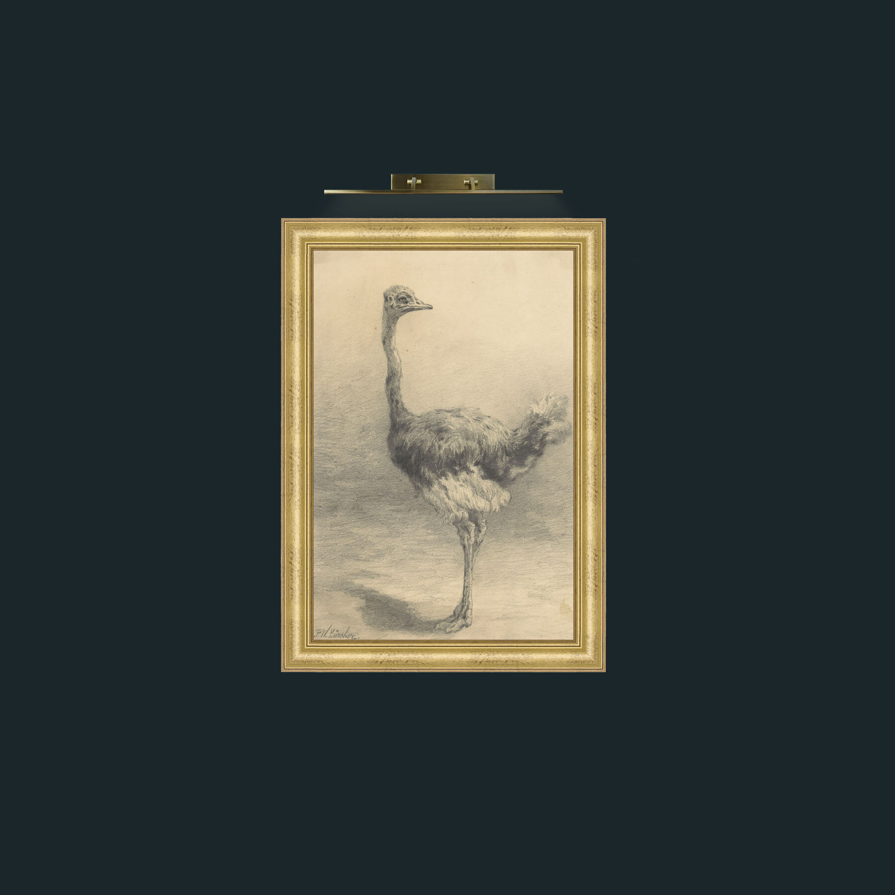 Art-Ostrich-Frame-9WideGilt.jpg