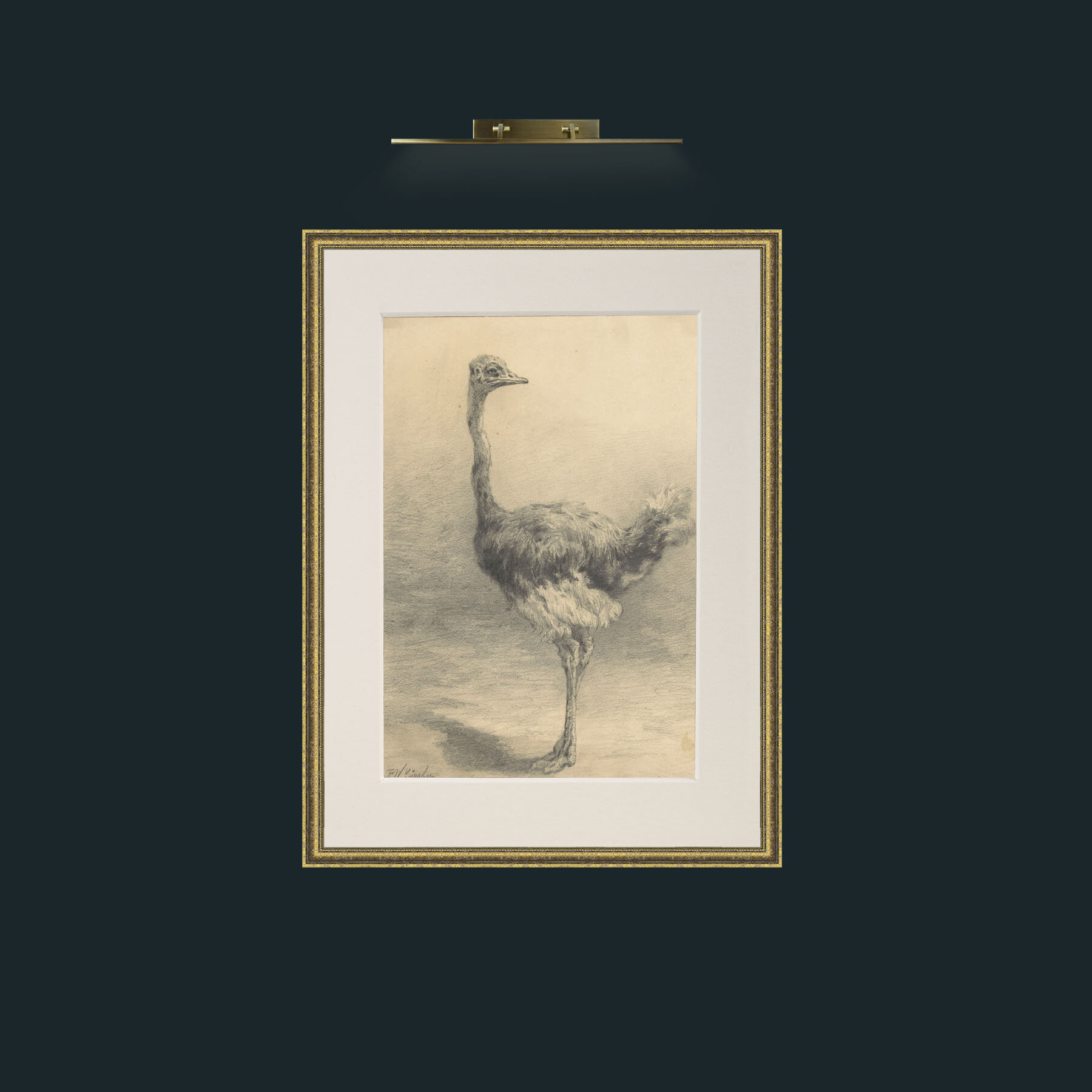 Art-Ostrich.jpg-Frame-1TexturedGilt-Mount-1Antique.jpg