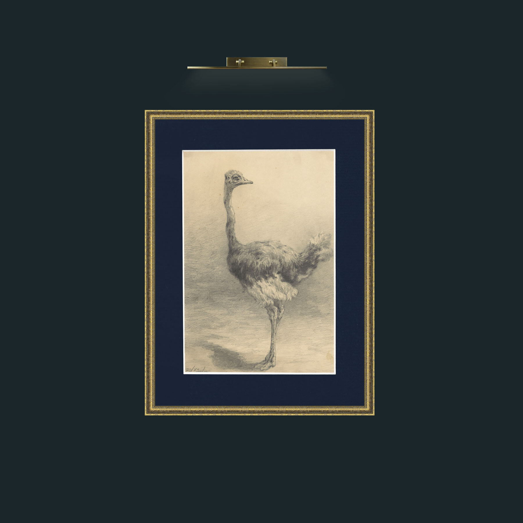 Art-Ostrich.jpg-Frame-1TexturedGilt-Mount-3Blue.jpg