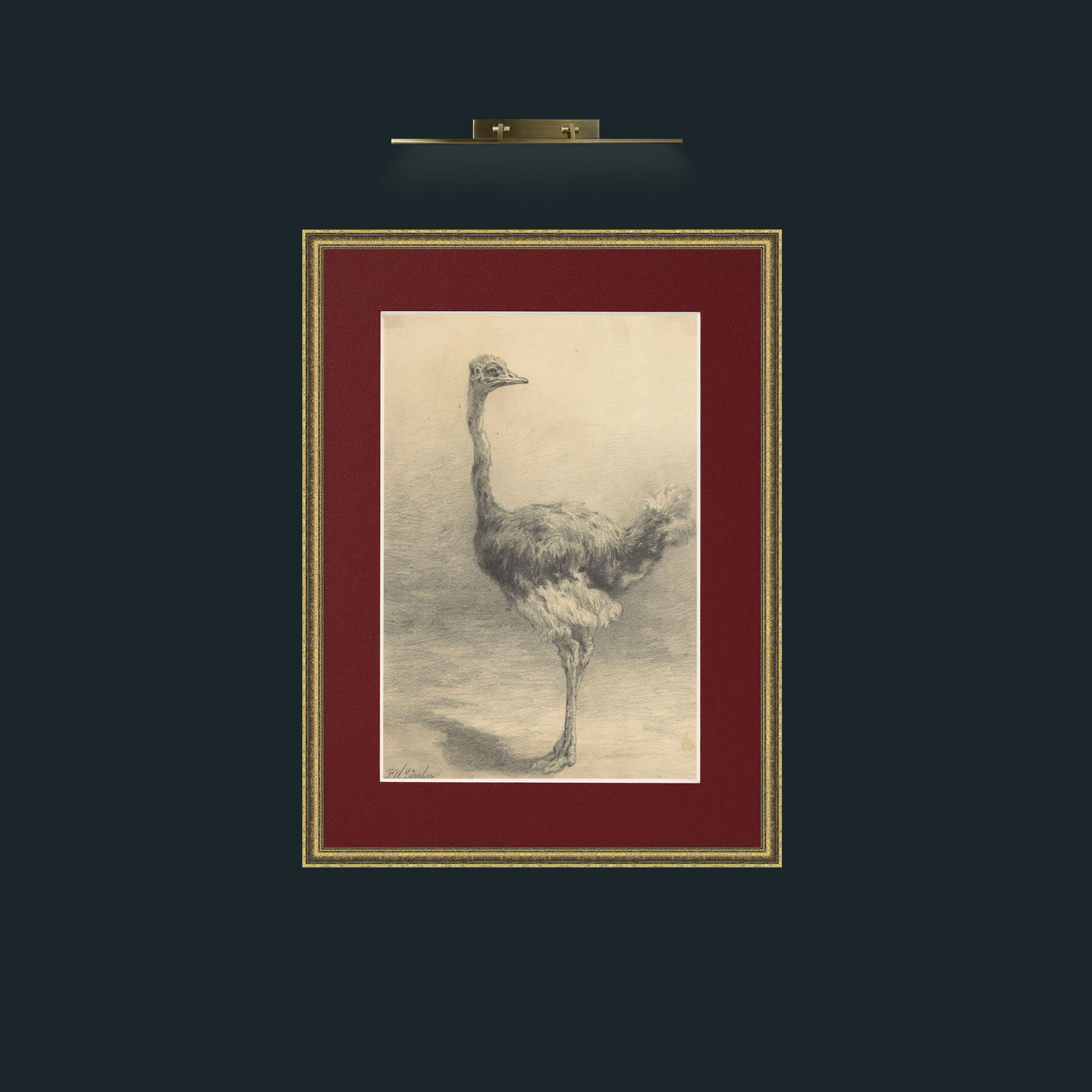 Art-Ostrich.jpg-Frame-1TexturedGilt-Mount-4Red.jpg