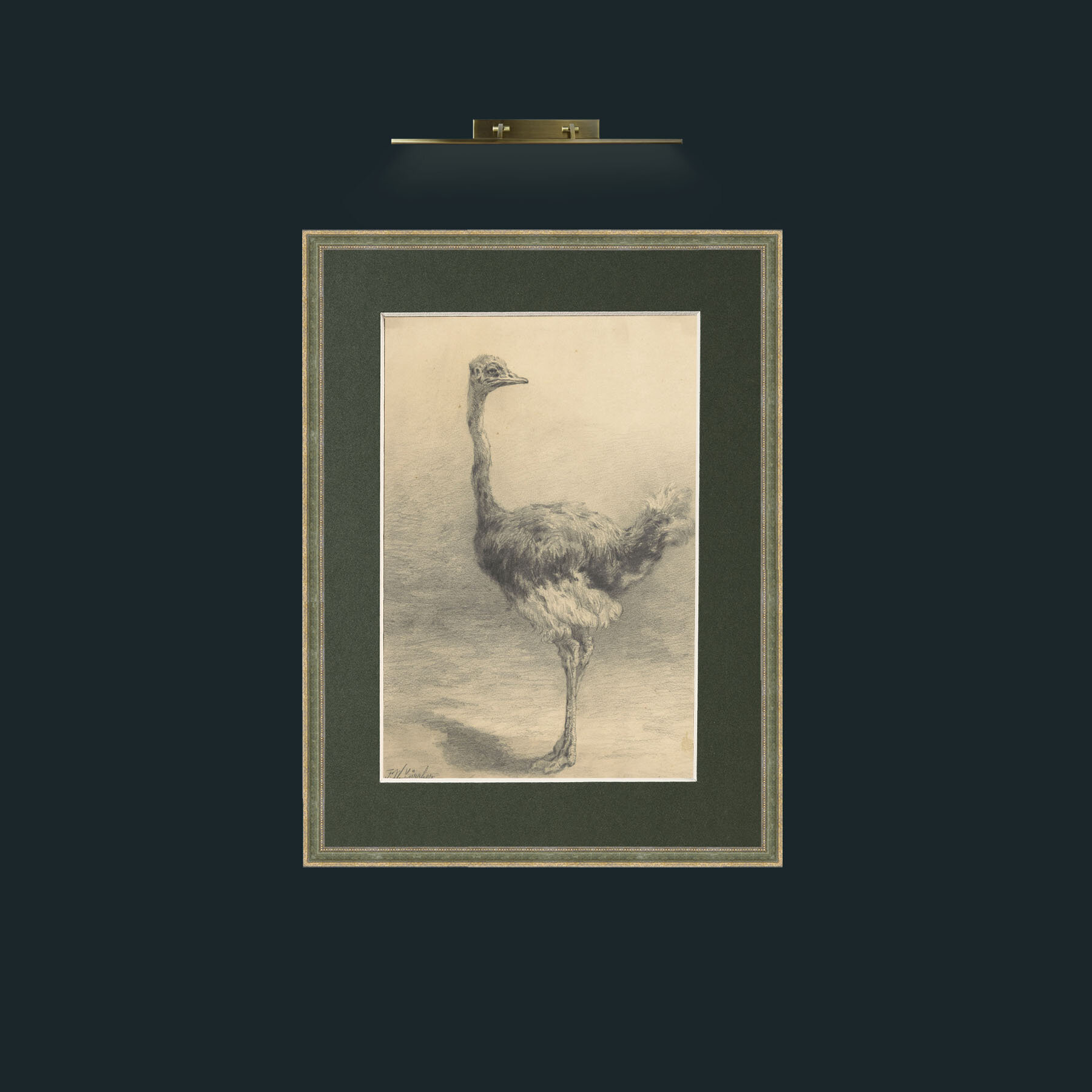 Art-Ostrich.jpg-Frame-2GreenGiltTextured-Mount-2Green.jpg