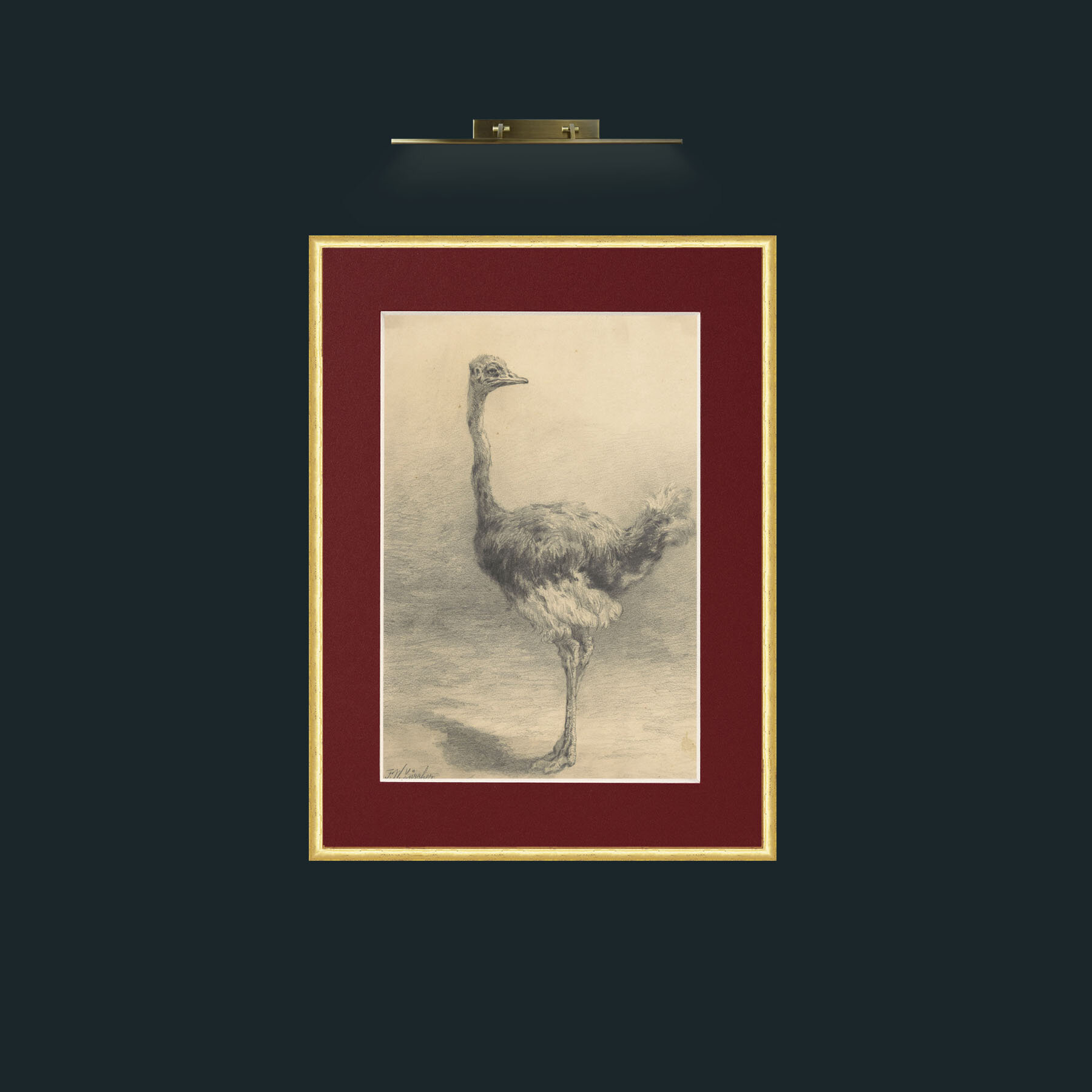 Art-Ostrich.jpg-Frame-3RoundedGilt-Mount-4Red.jpg
