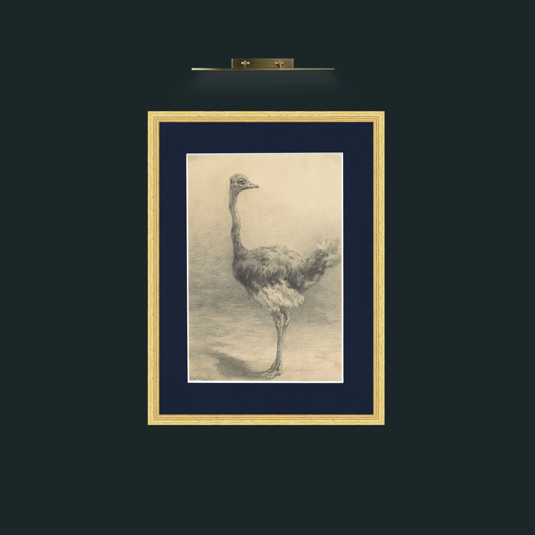 Art-Ostrich.jpg-Frame-4BevelledGilt-Mount-3Blue.jpg