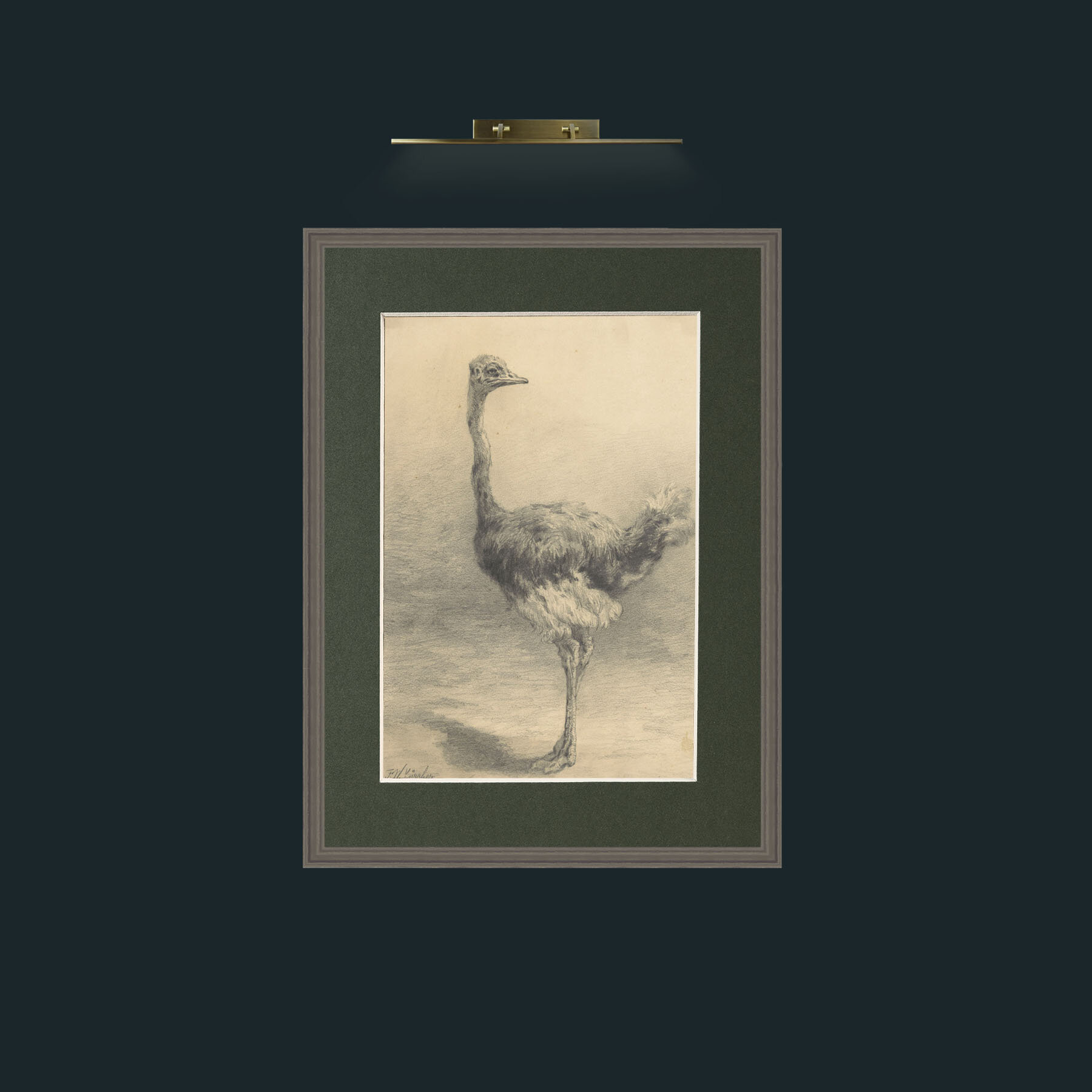 Art-Ostrich.jpg-Frame-6Grey-Mount-2Green.jpg