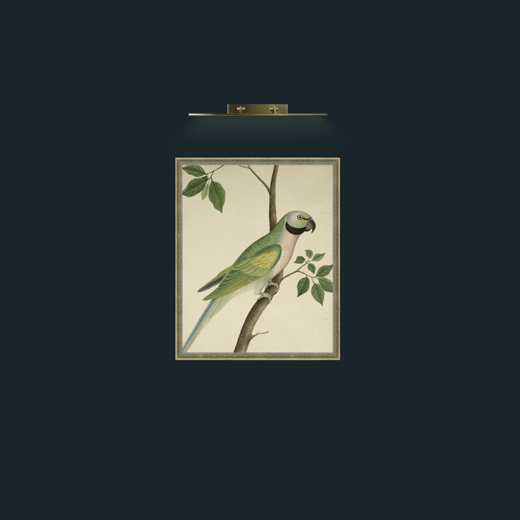 Art-ParrotFrame-2GreenGiltTextured-Art-Parrot.jpg