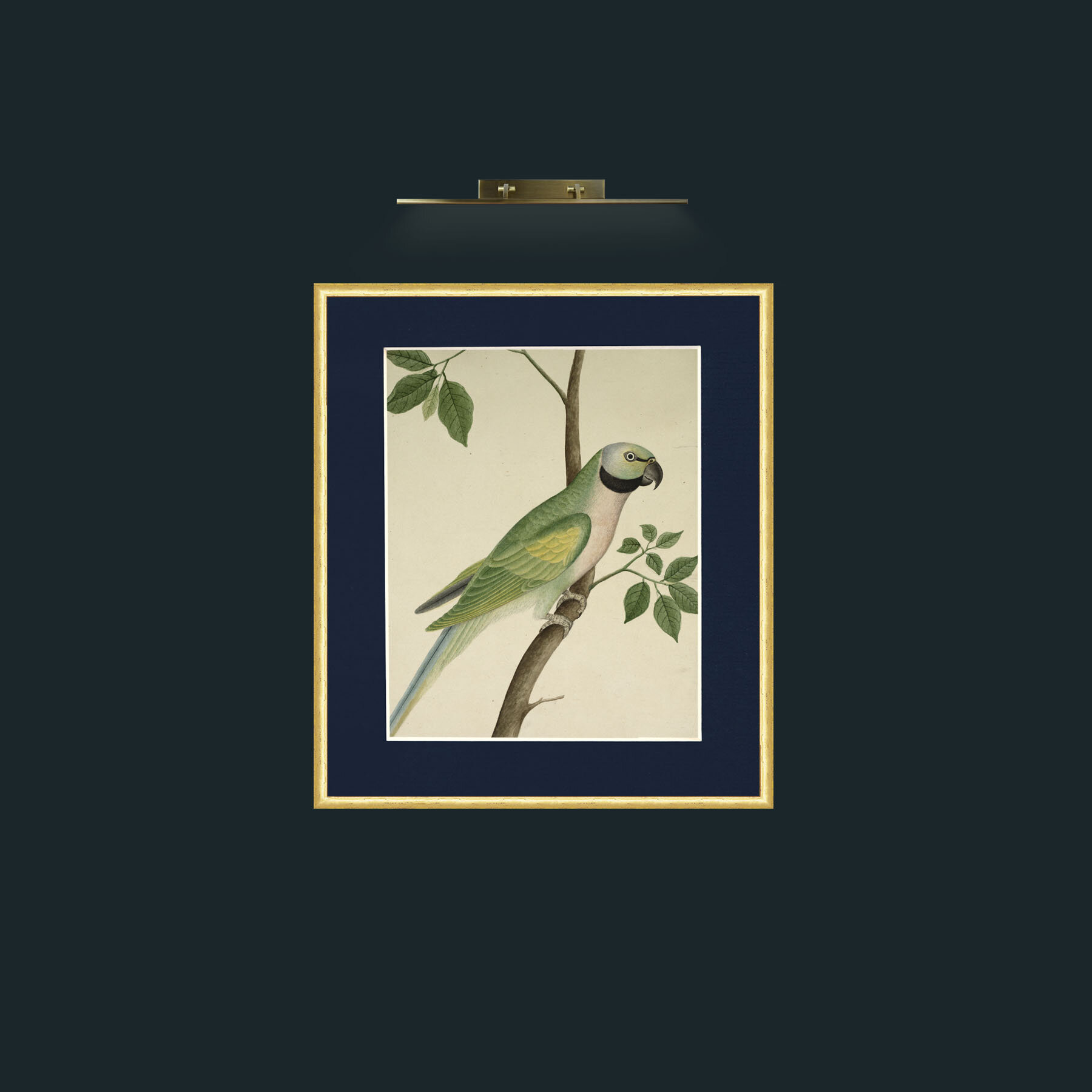 Art-ParrotFrame-3RoundedGilt-Mount-3Blue-Art-Parrot.jpg