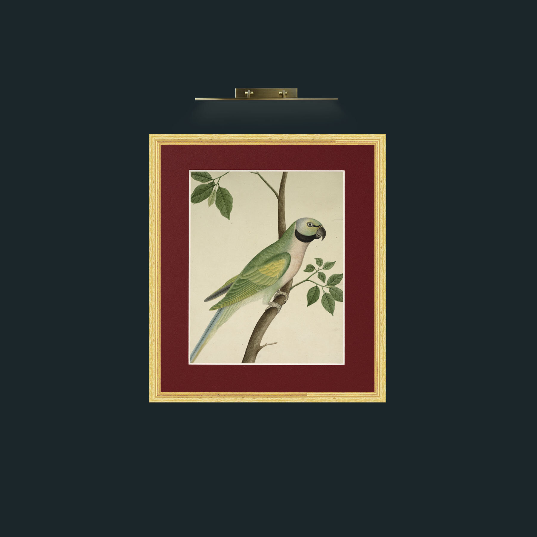 Art-ParrotFrame-4BevelledGilt-Mount-4Red-Art-Parrot.jpg