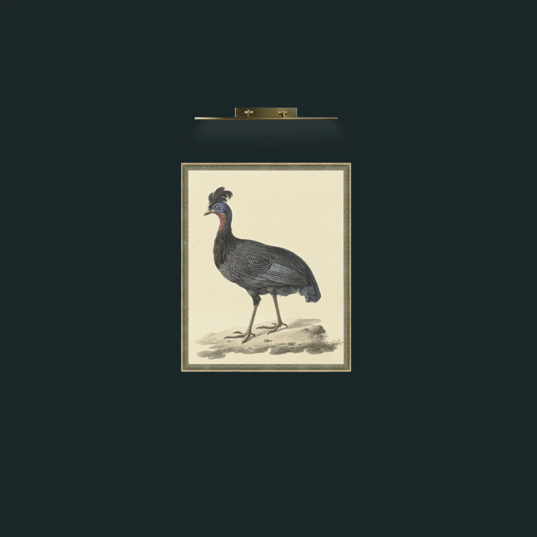 Art-Plumed GuineafowFrame-2GreenGiltTextured-Art-Plumed Guineafow.jpg