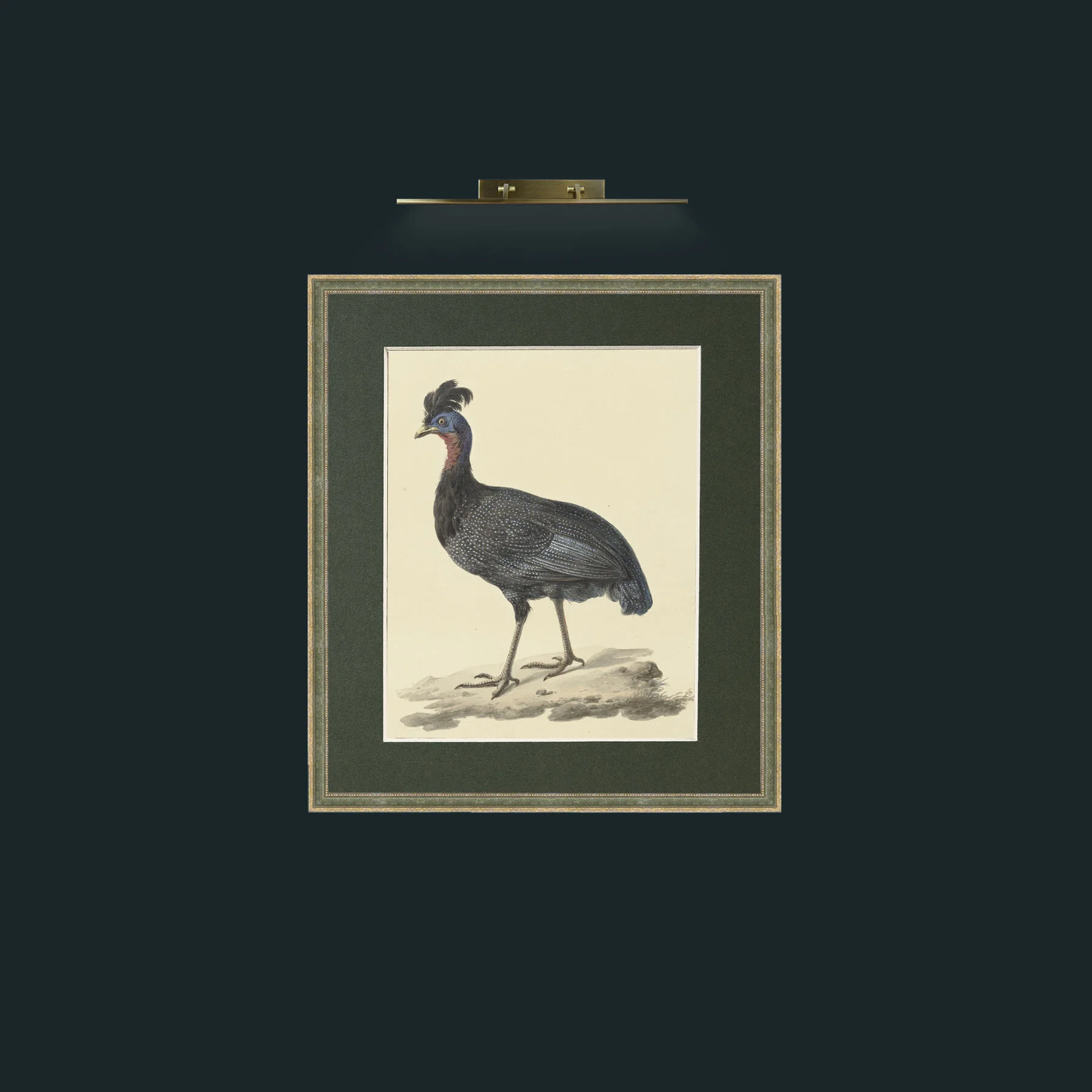 Art-Plumed GuineafowFrame-2GreenGiltTextured-Mount-2Green-Art-Plumed Guineafow.jpg