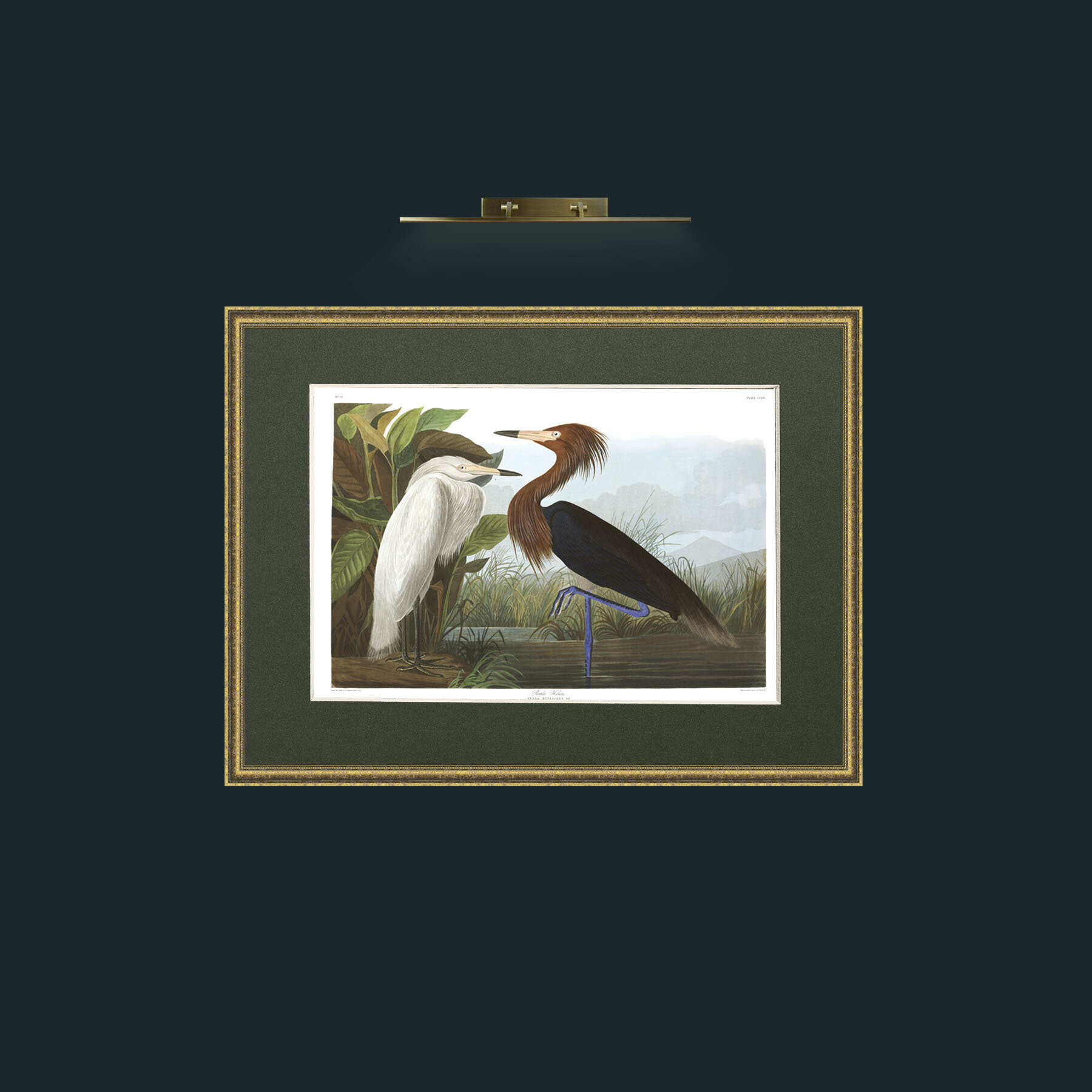 Art-Purple Heron-Frame-1TexturedGilt-Mount-2Green.jpg