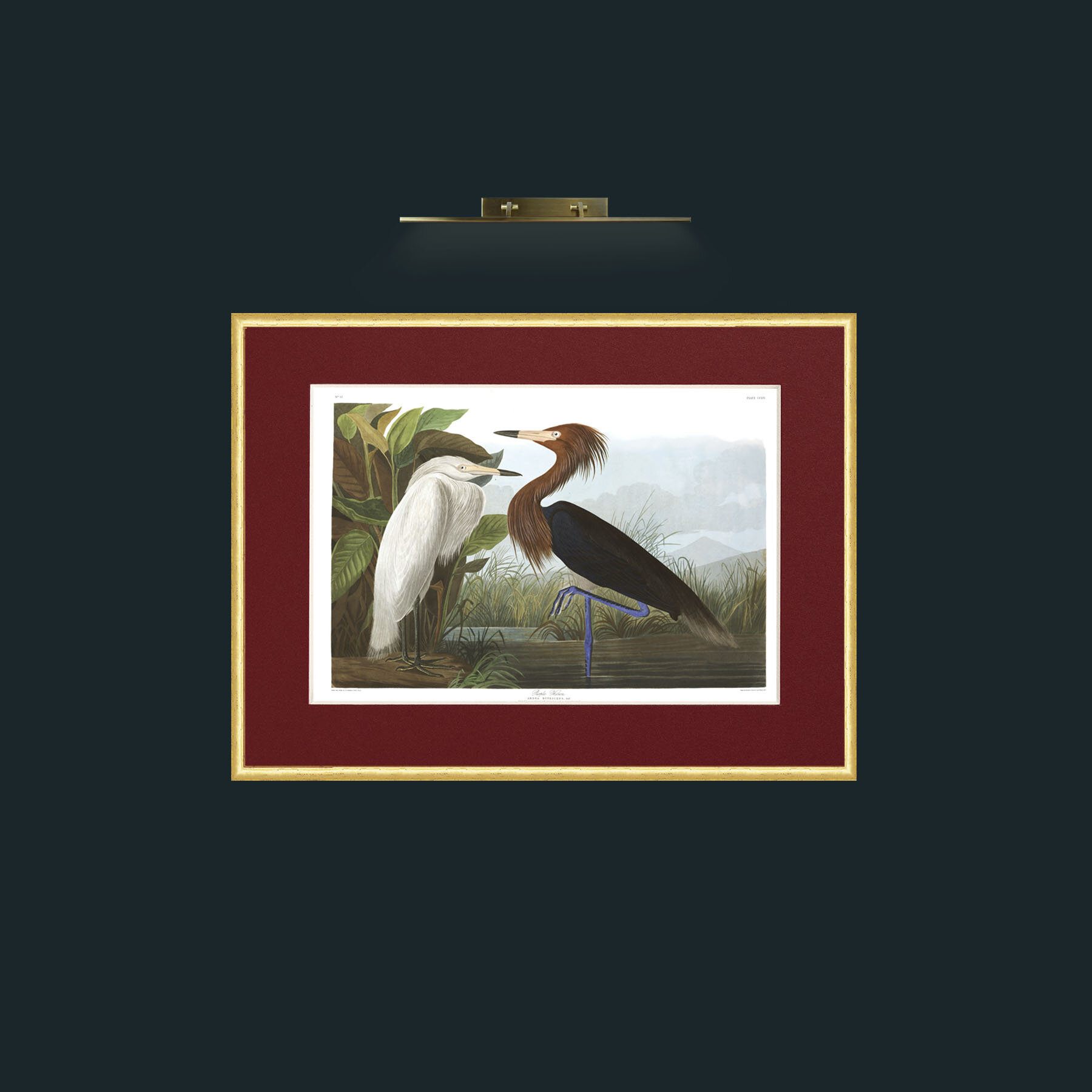 Art-Purple Heron-Frame-3RoundedGilt-Mount-4Red.jpg