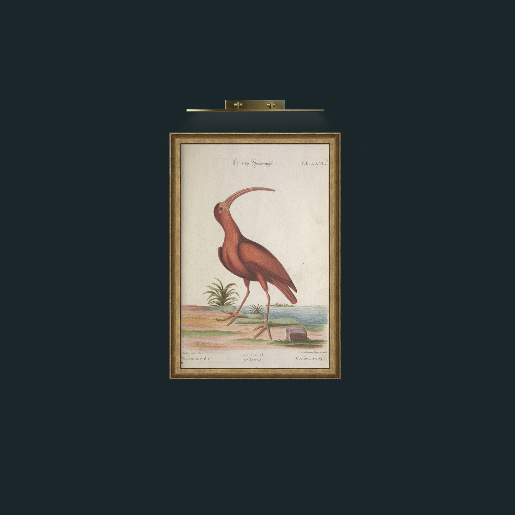 Art-Red Curlew-Frame-8RedGreenGilt.jpg