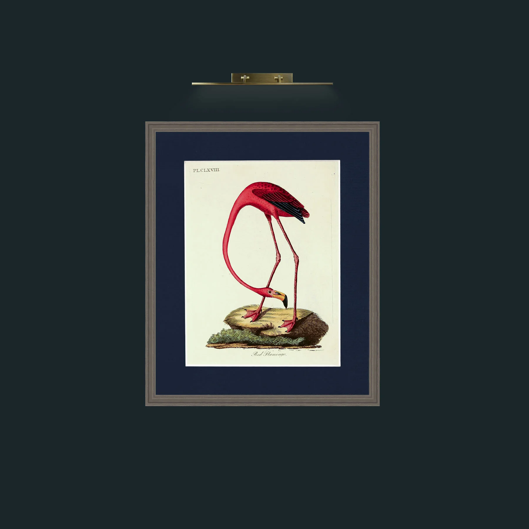 Art-Red Flamingo (28).jpg