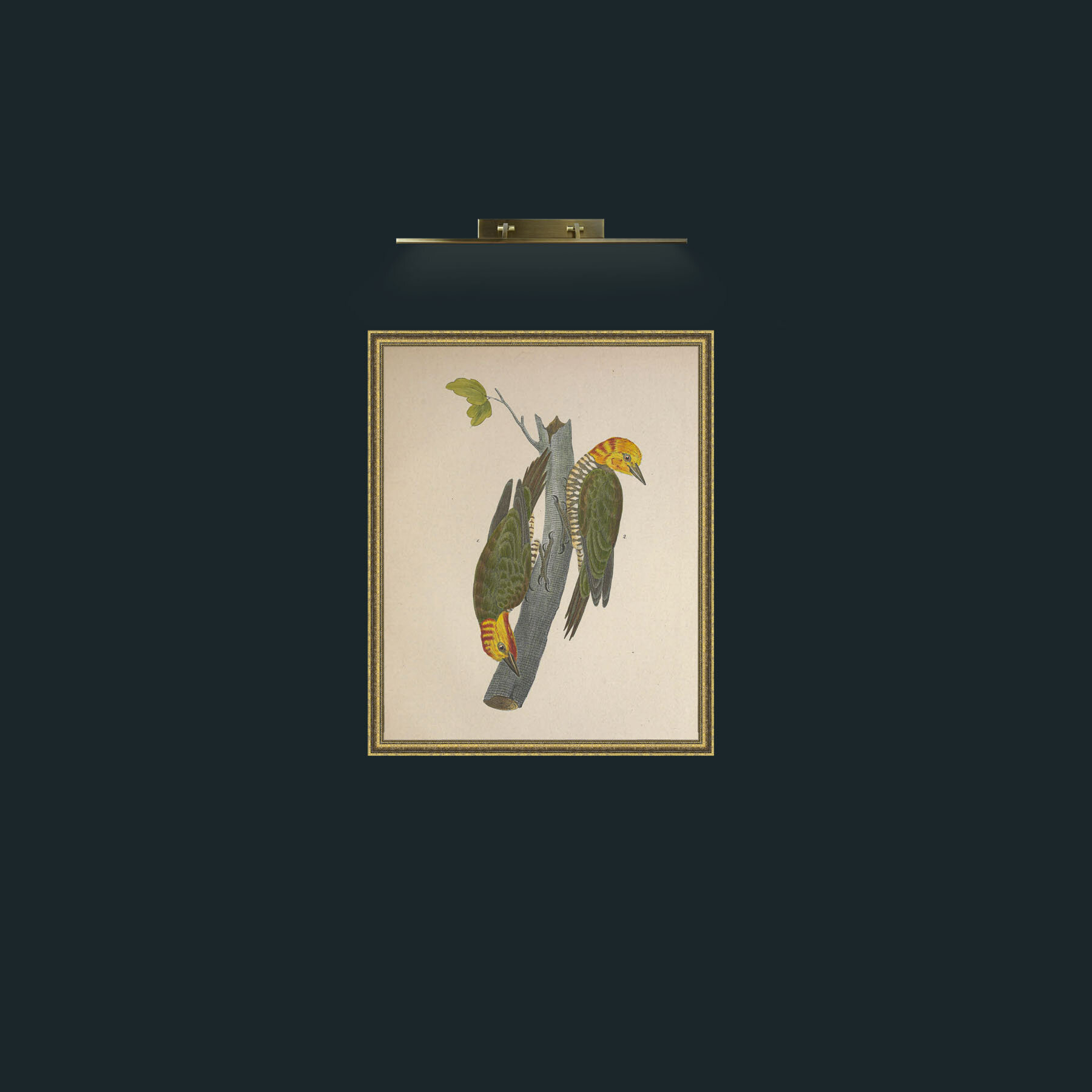 Yellow-capped PicusFrame-1GiltTextured-Art-Yellow-capped Picus.jpg