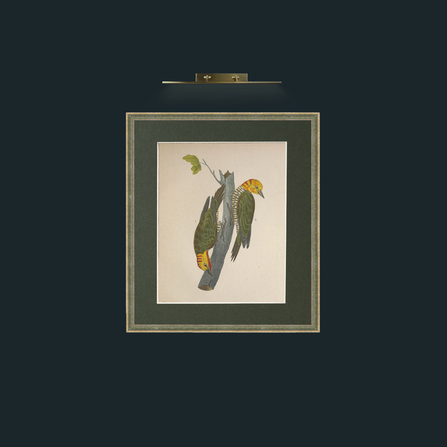 Yellow-capped PicusFrame-2GreenGiltTextured-Mount-2Green-Art-Yellow-capped Picus.jpg