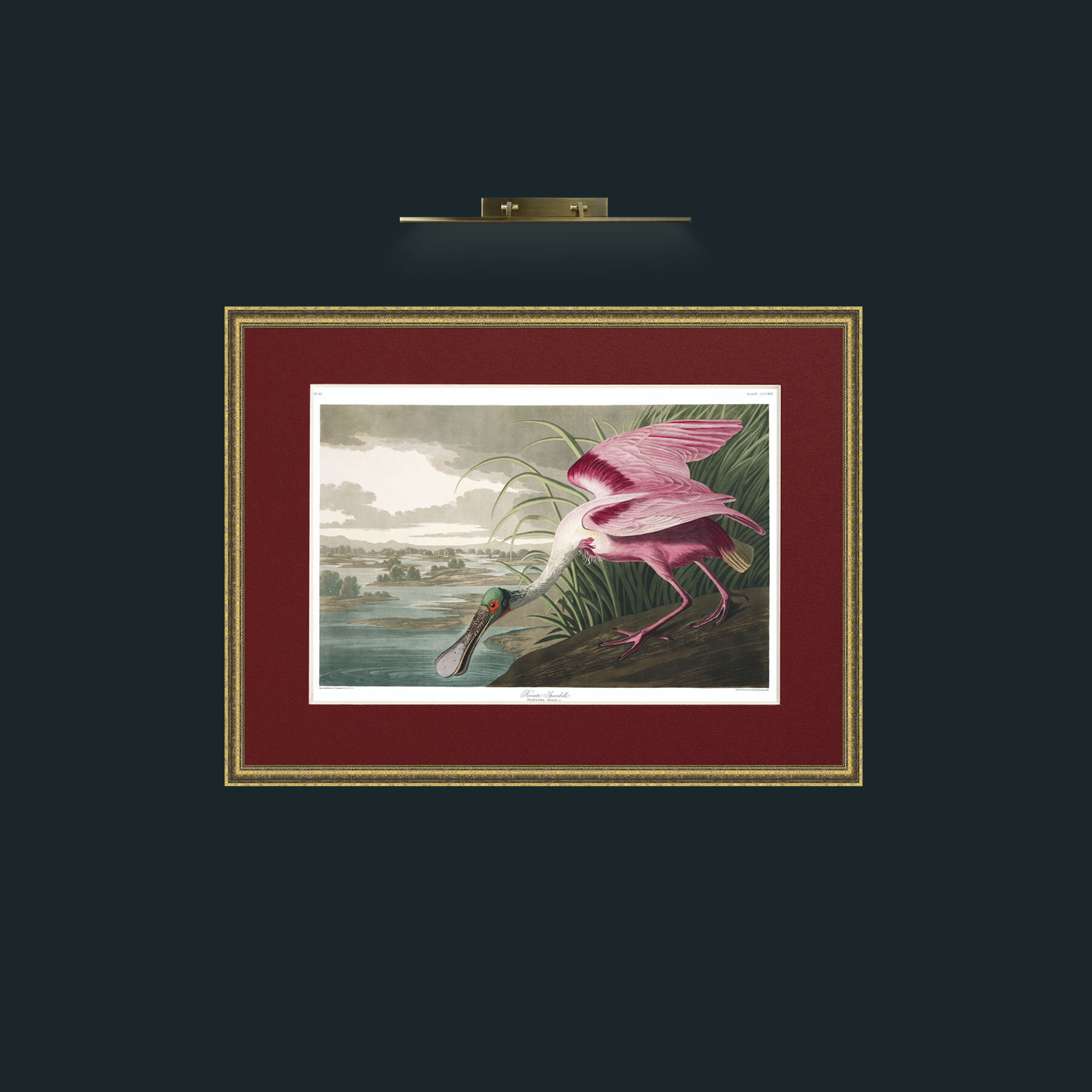 Art-Roseate Spoonbill-Frame-1TexturedGilt-Mount-4Red.jpg