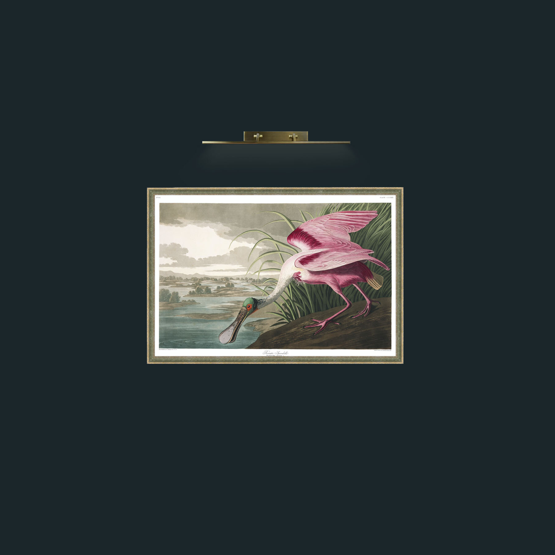 Art-Roseate Spoonbill-Frame-2GreenGiltTextured.jpg