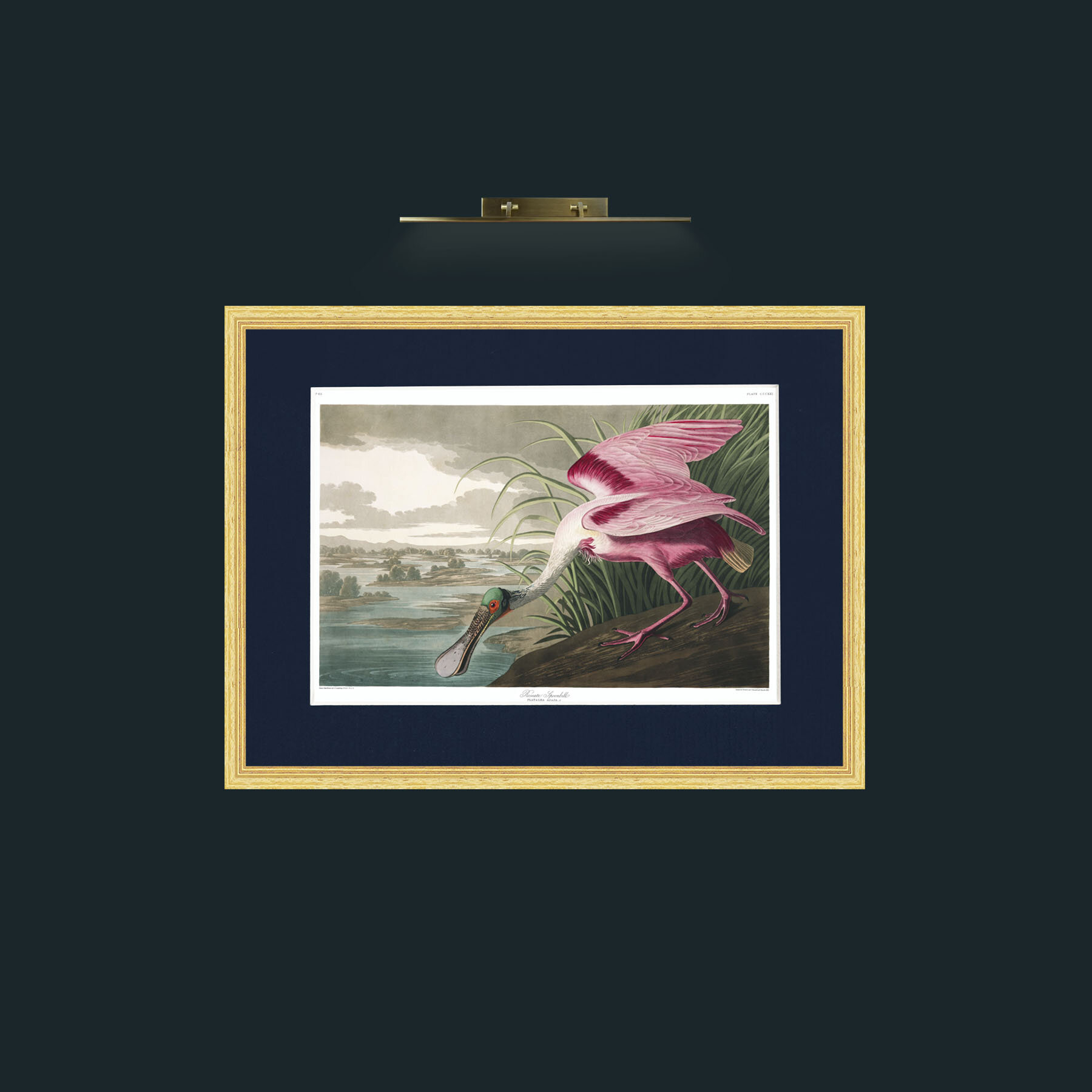 Art-Roseate Spoonbill-Frame-4BevelledGilt-Mount-3Blue.jpg