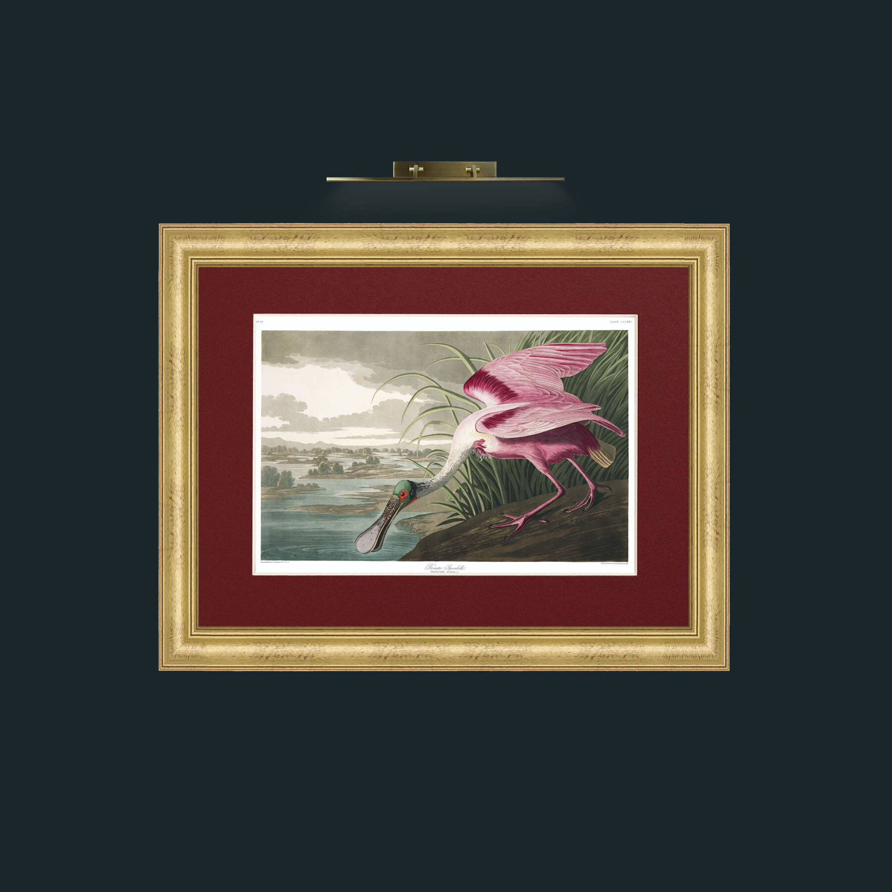 Art-Roseate Spoonbill-Frame-9WideGilt-Mount-4Red.jpg
