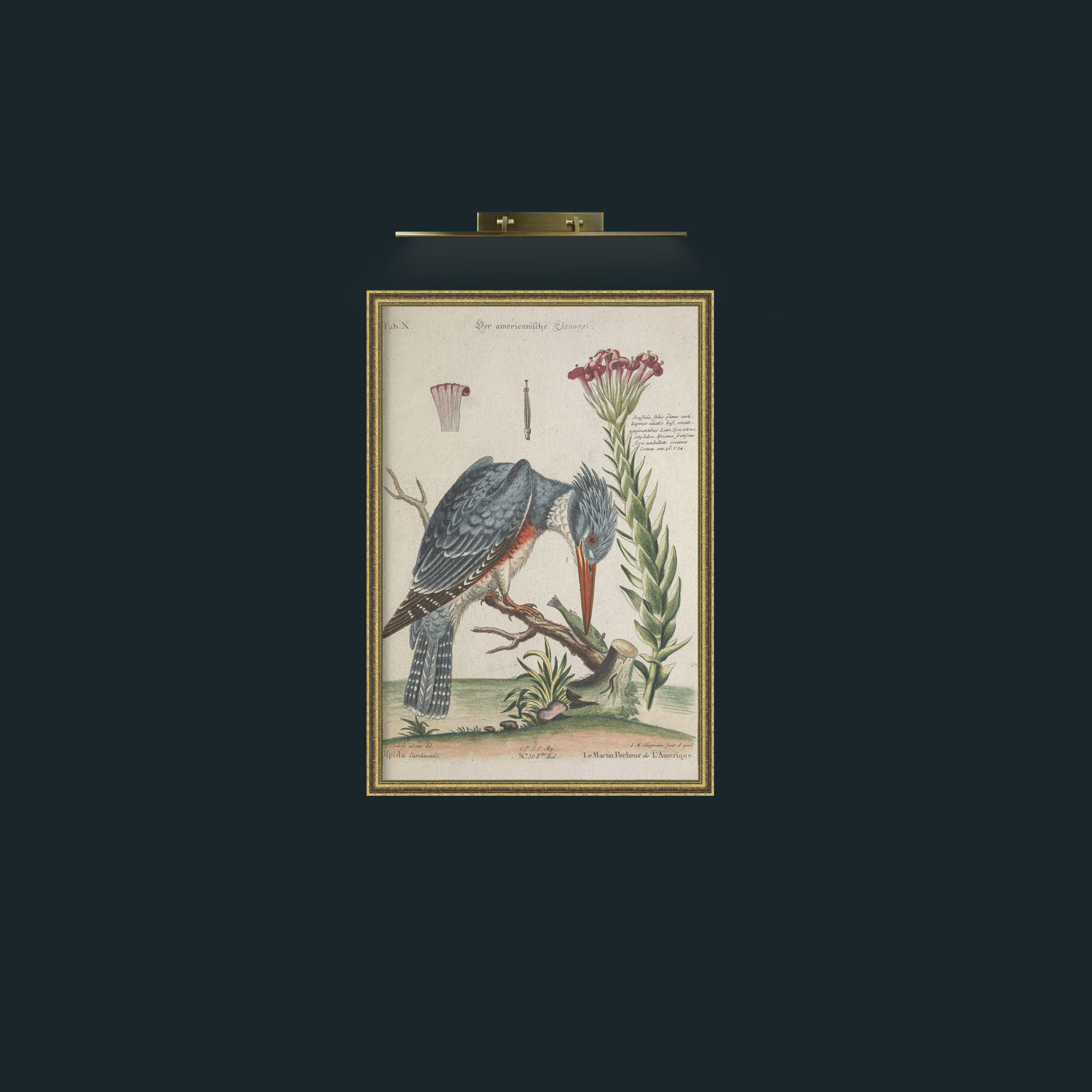 Art-The Kingfisher-Frame-1GiltTextured.jpg