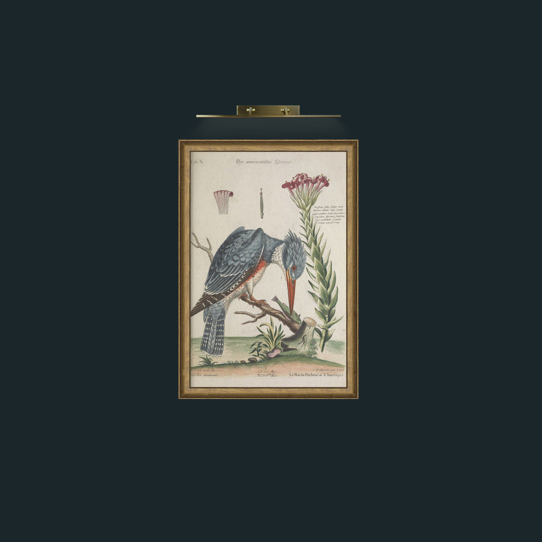 Art-The Kingfisher-Frame-8RedGreenGilt.jpg