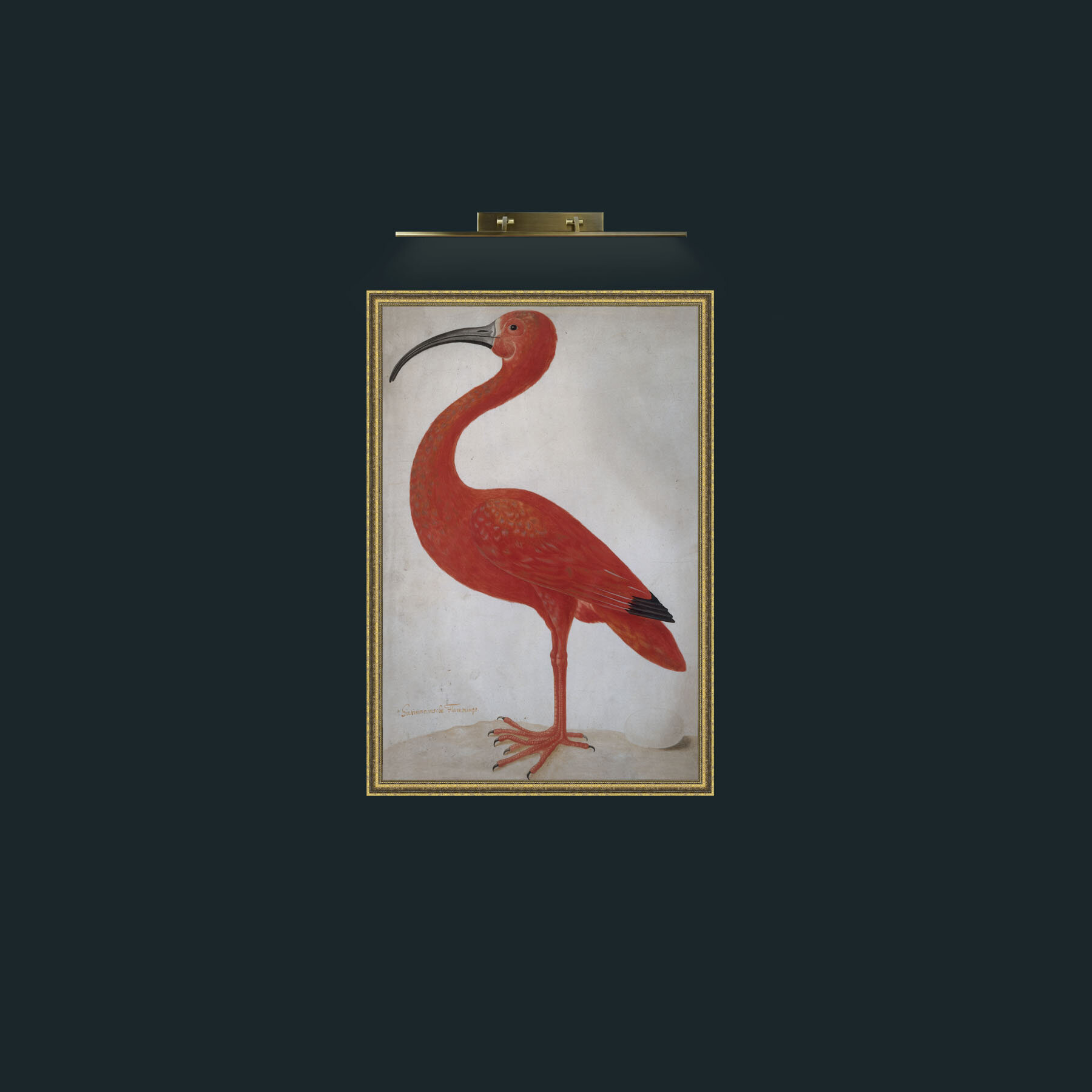 Art-Scarlet Ibis 2-Frame-1GiltTextured.jpg