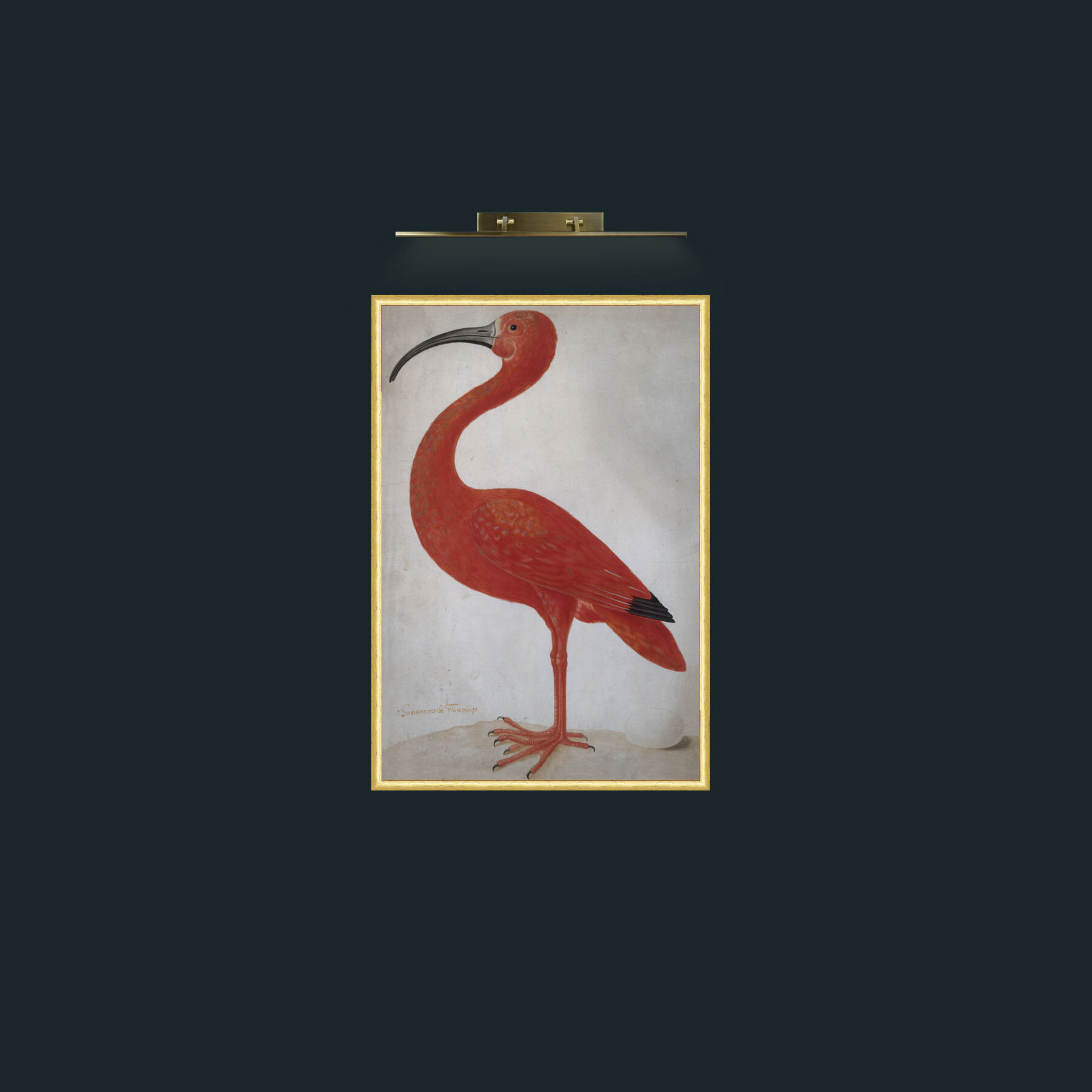 Art-Scarlet Ibis 2-Frame-3RoundedGilt.jpg