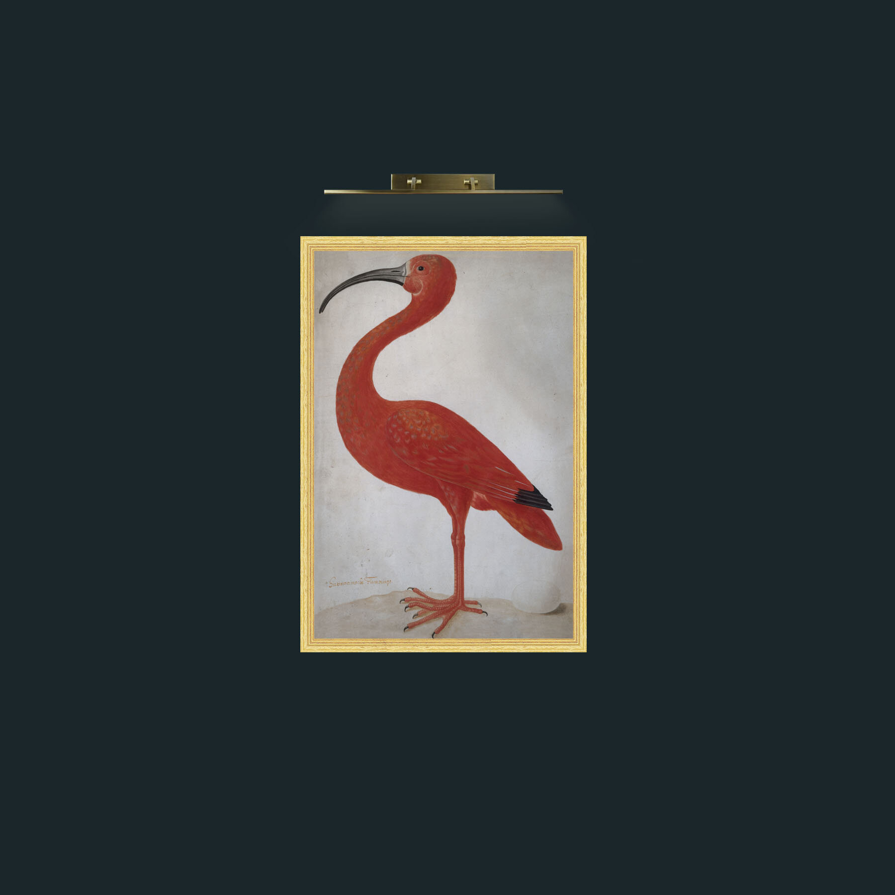 Art-Scarlet Ibis 2-Frame-4BevelledGilt.jpg