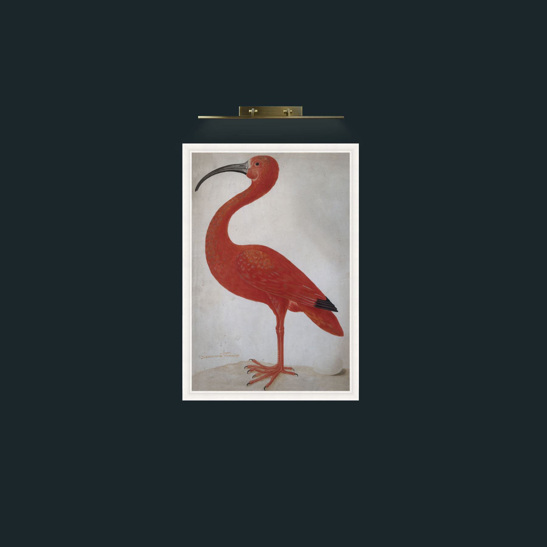 Art-Scarlet Ibis 2-Frame-5White.jpg