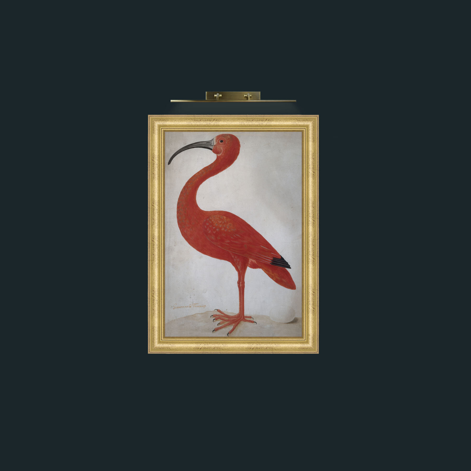 Art-Scarlet Ibis 2-Frame-9WideGilt.jpg