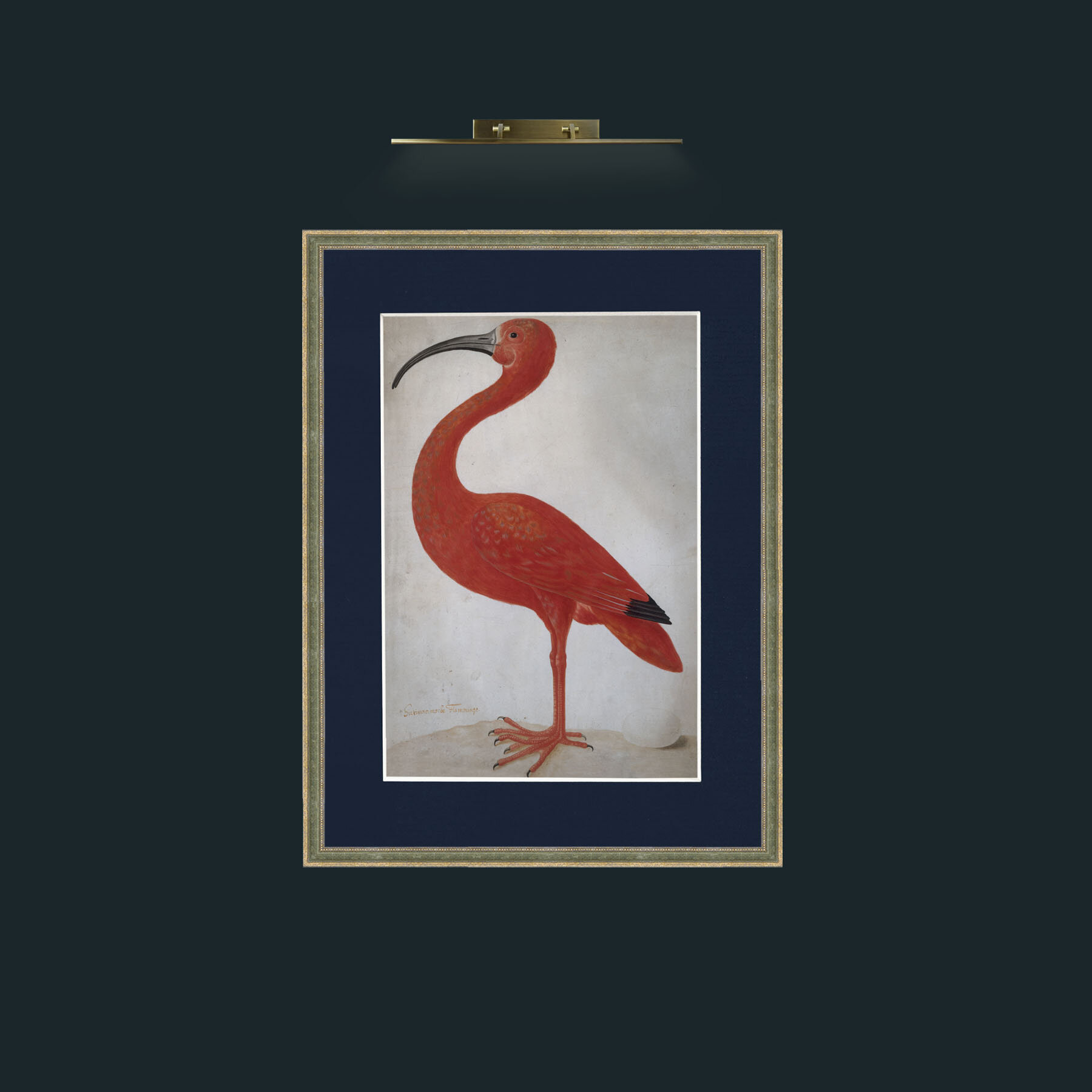 Art-Scarlet Ibis 2.jpg-Frame-2GreenGiltTextured-Mount-3Blue.jpg