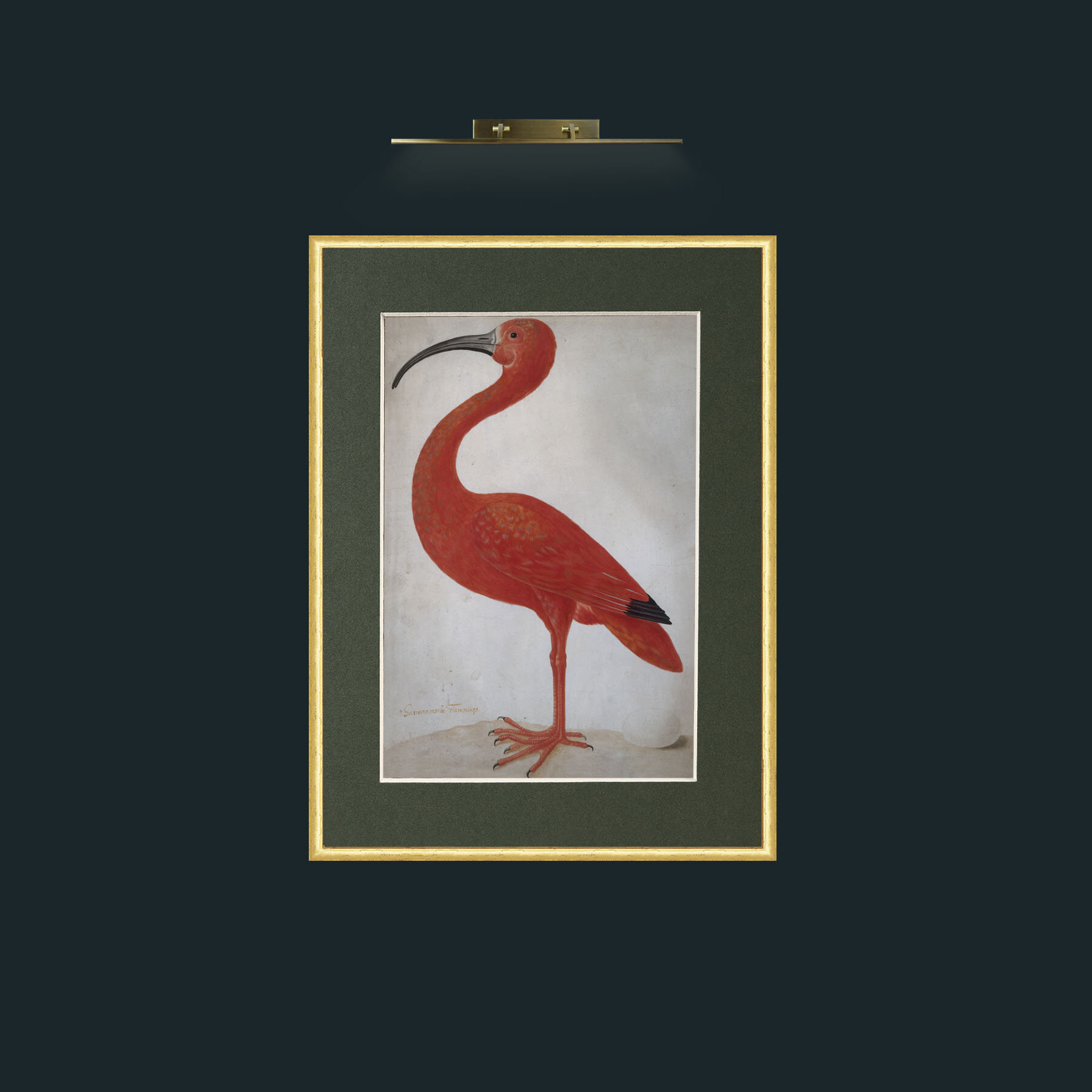 Art-Scarlet Ibis 2.jpg-Frame-3RoundedGilt-Mount-2Green.jpg