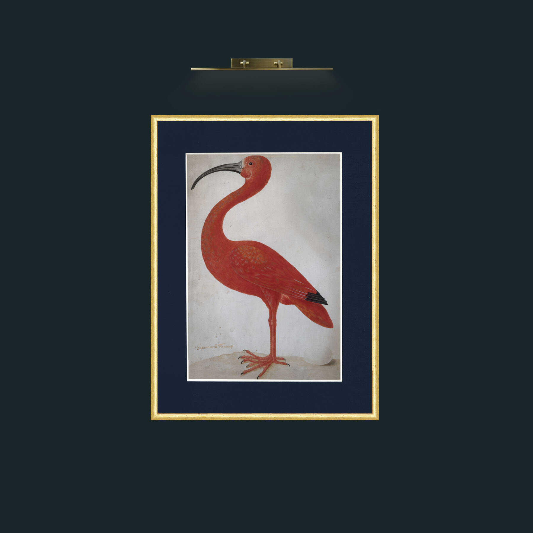Art-Scarlet Ibis 2.jpg-Frame-3RoundedGilt-Mount-3Blue.jpg