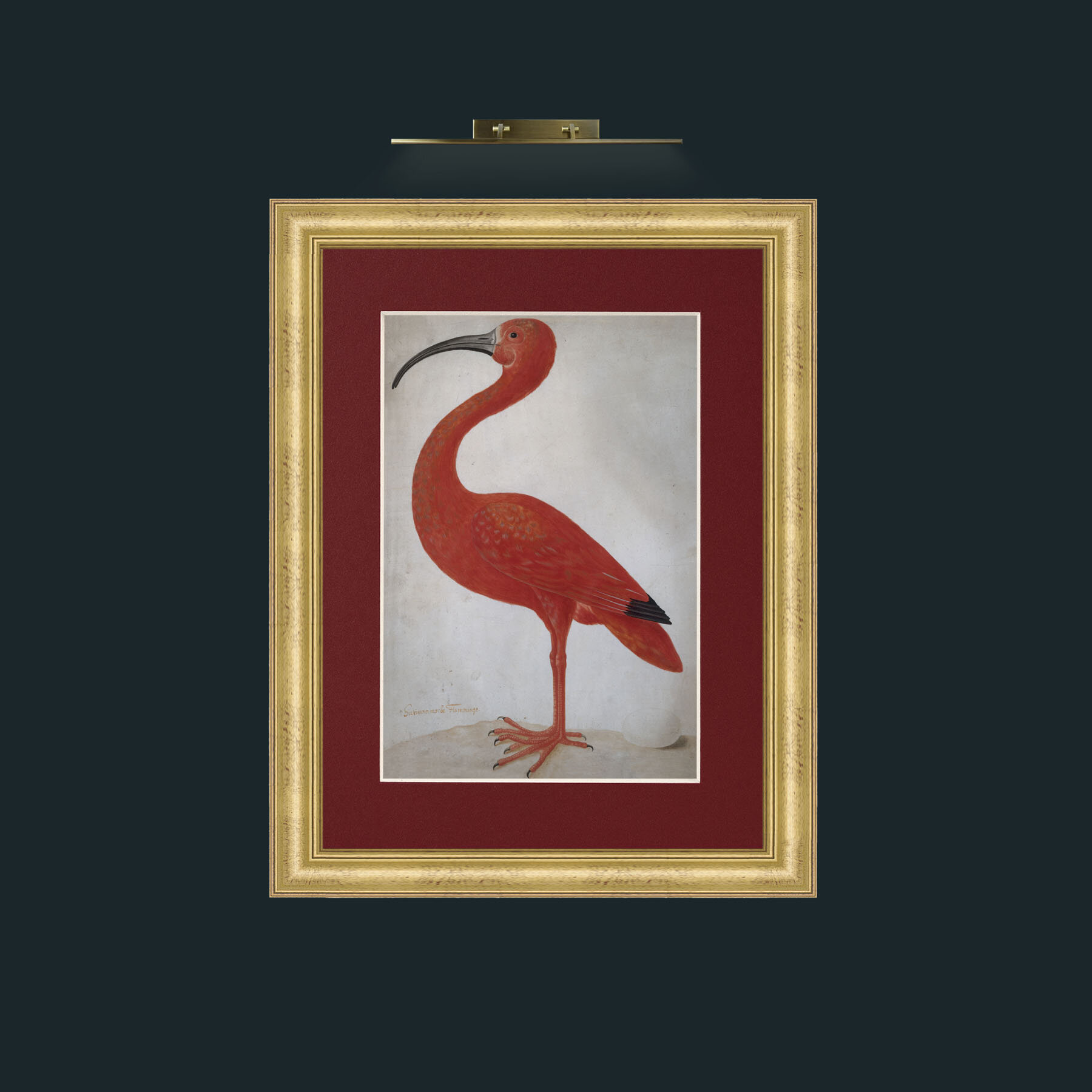 Art-Scarlet Ibis 2.jpg-Frame-9WideGilt-Mount-4Red.jpg