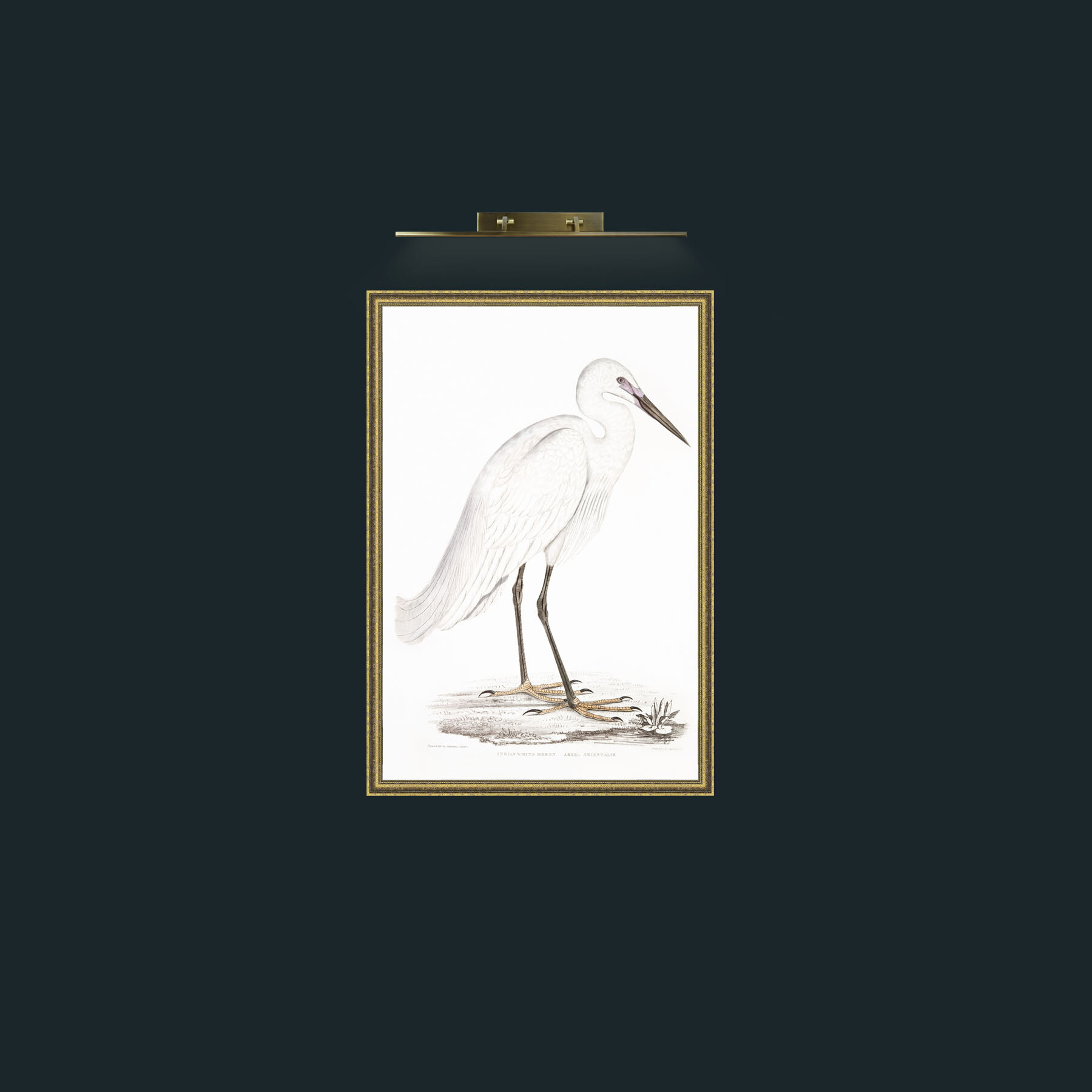 Art-whiteheronprintready_1-Frame-1GiltTextured.jpg