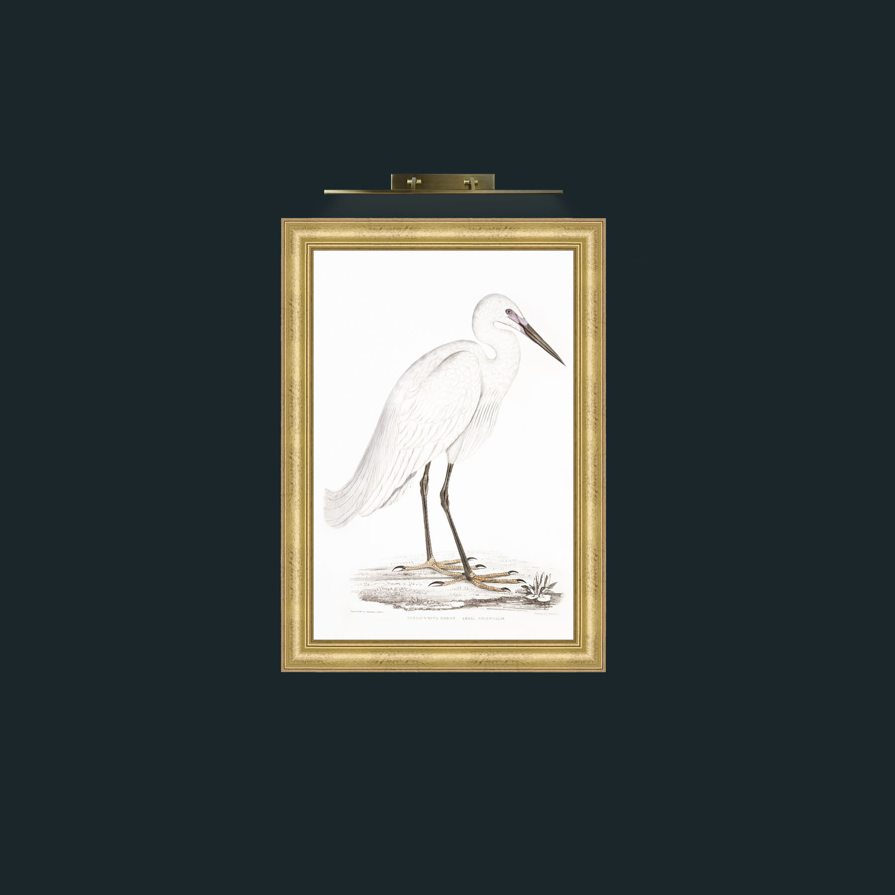 Art-whiteheronprintready_1-Frame-9WideGilt.jpg